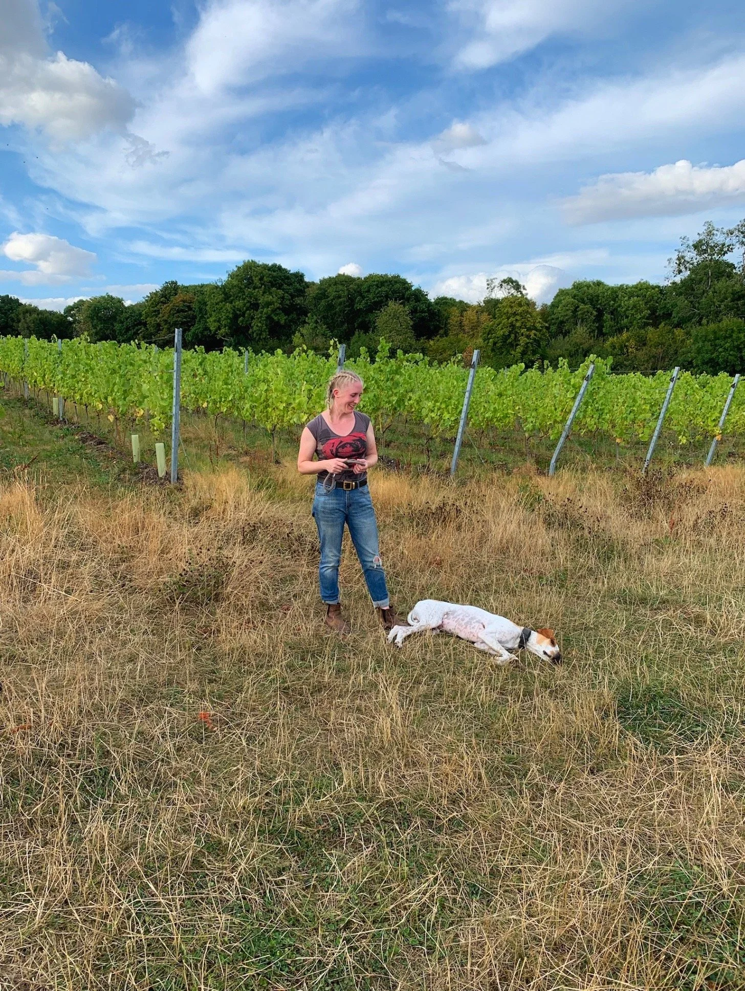 Real Wine In The Vines: Ham Street Wines