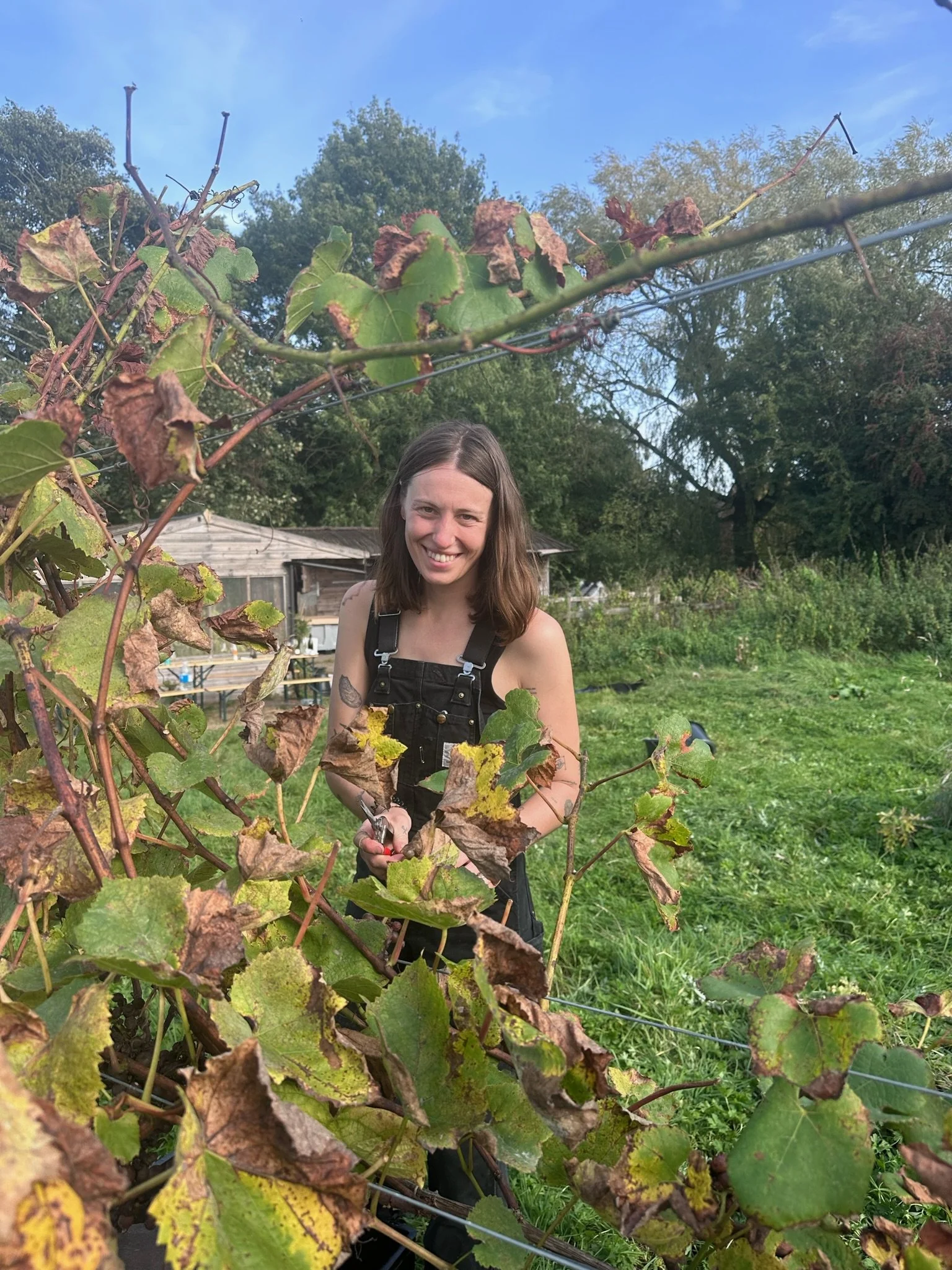 The Electric Field-Blend Acid Test: Sophie Evans 2022