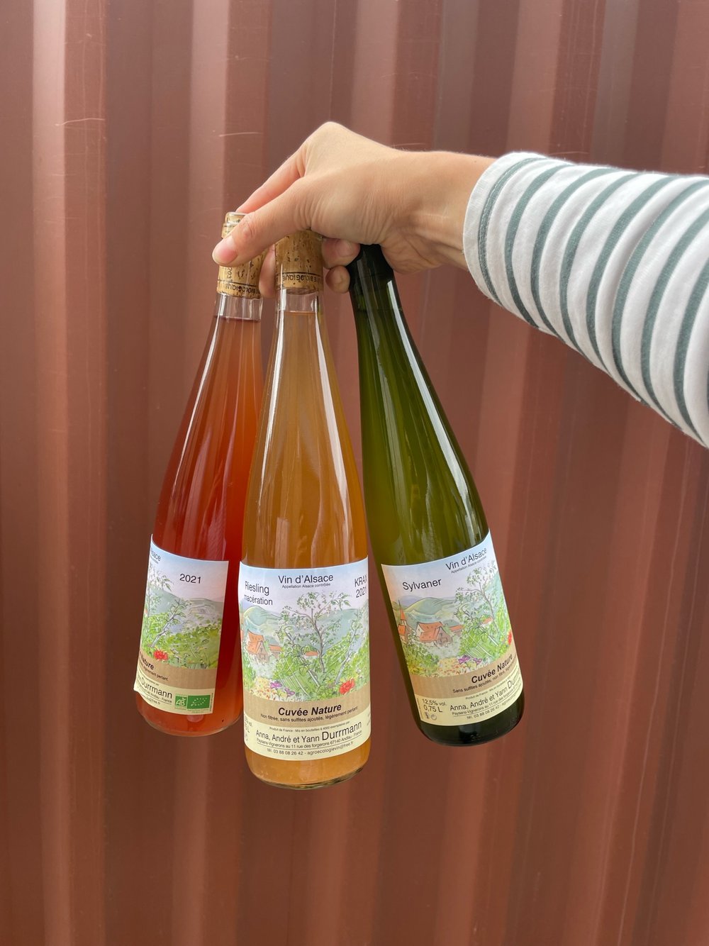 Yann Gives A Schiste — Wines Under the Bonnet