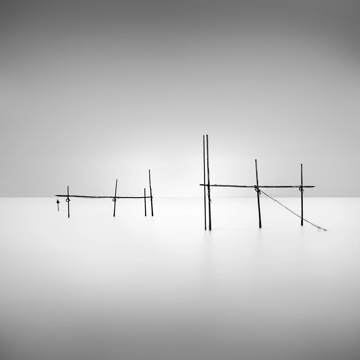 Sticks