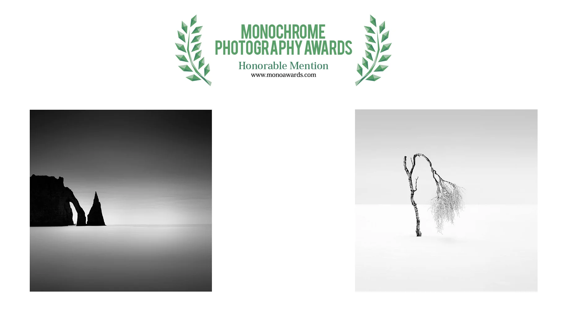 monoawards.jpg