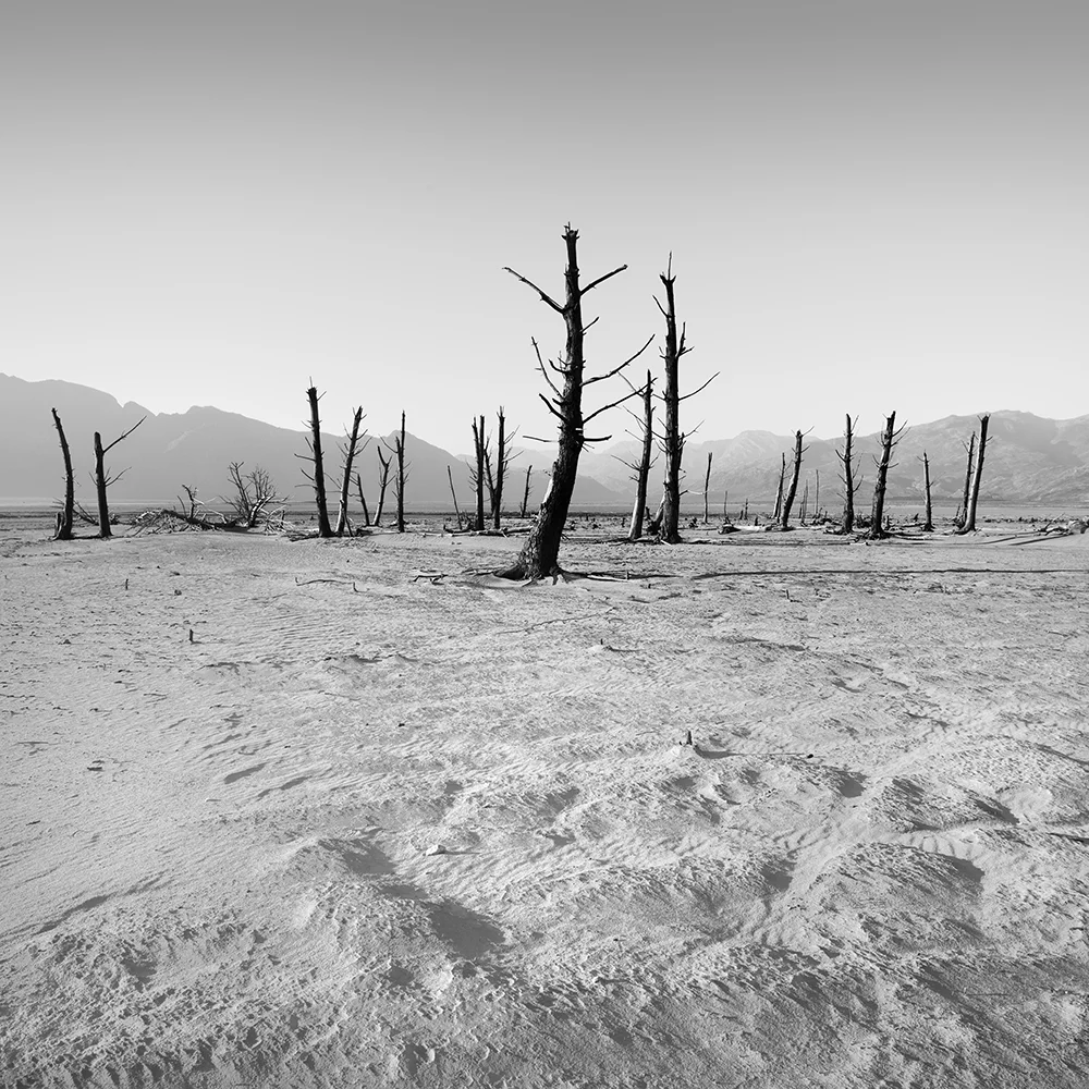 Theewaterskloof