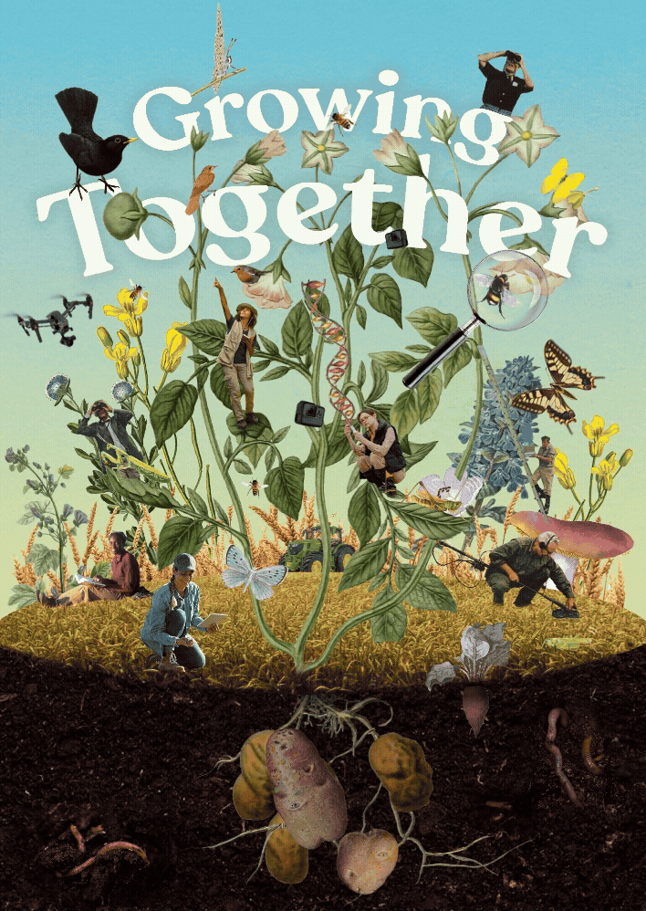 Postcard Design & Animation for a Biodiversity Monitoring Project