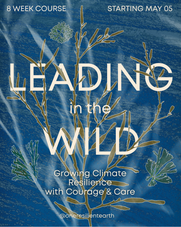 Course Poster Design - One Resilient Earth