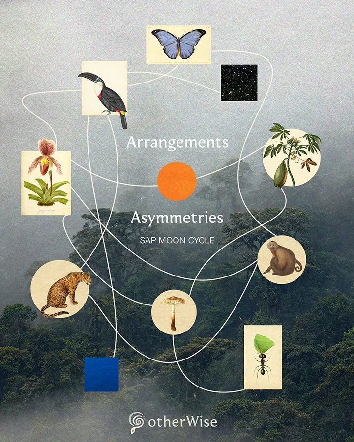 Poster Design for a Community Learning Initiative