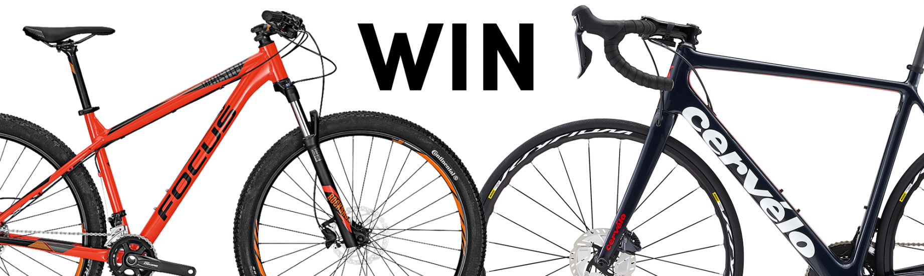 Strava_bikes_for_website.1524672175.png