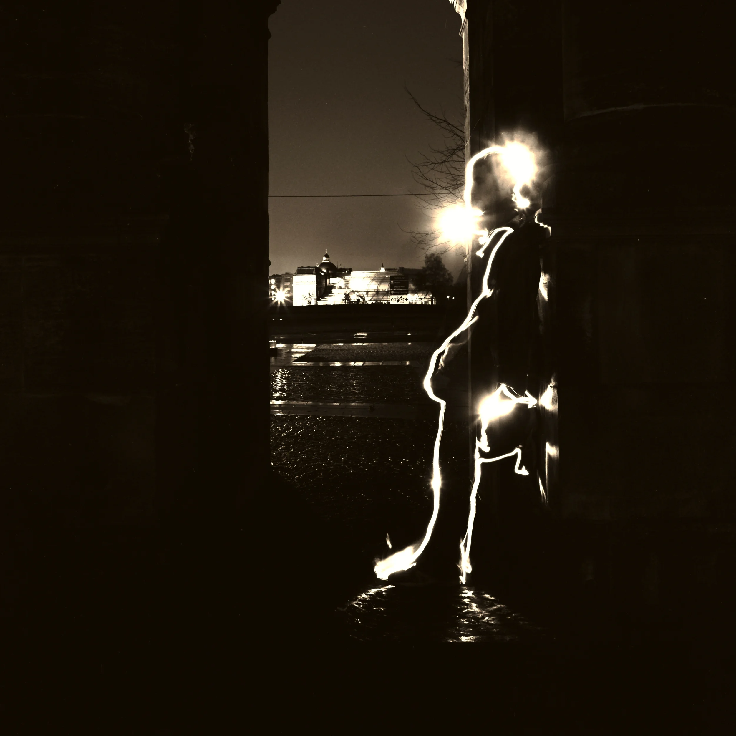 martin light profile.jpg
