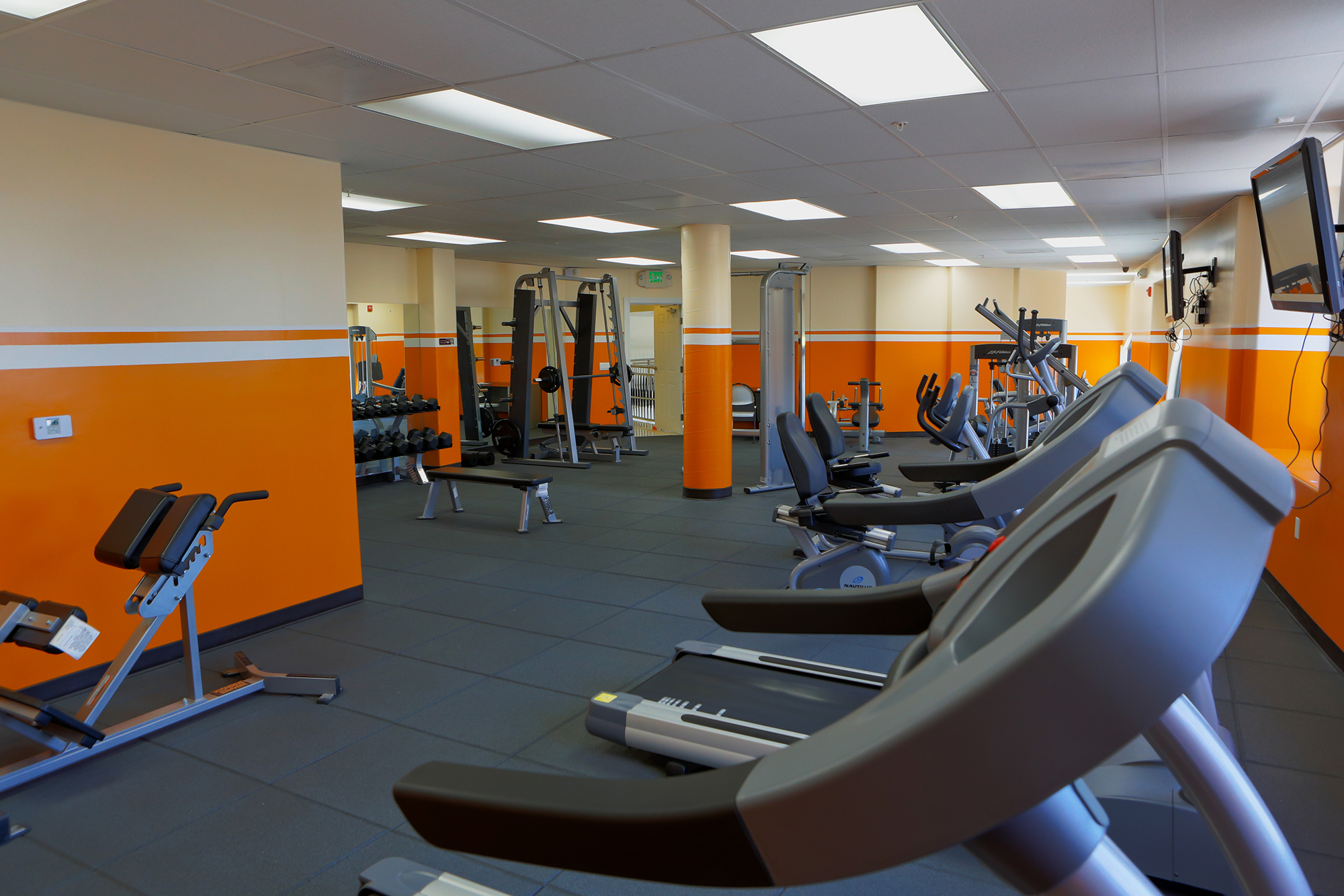 Gym.jpg