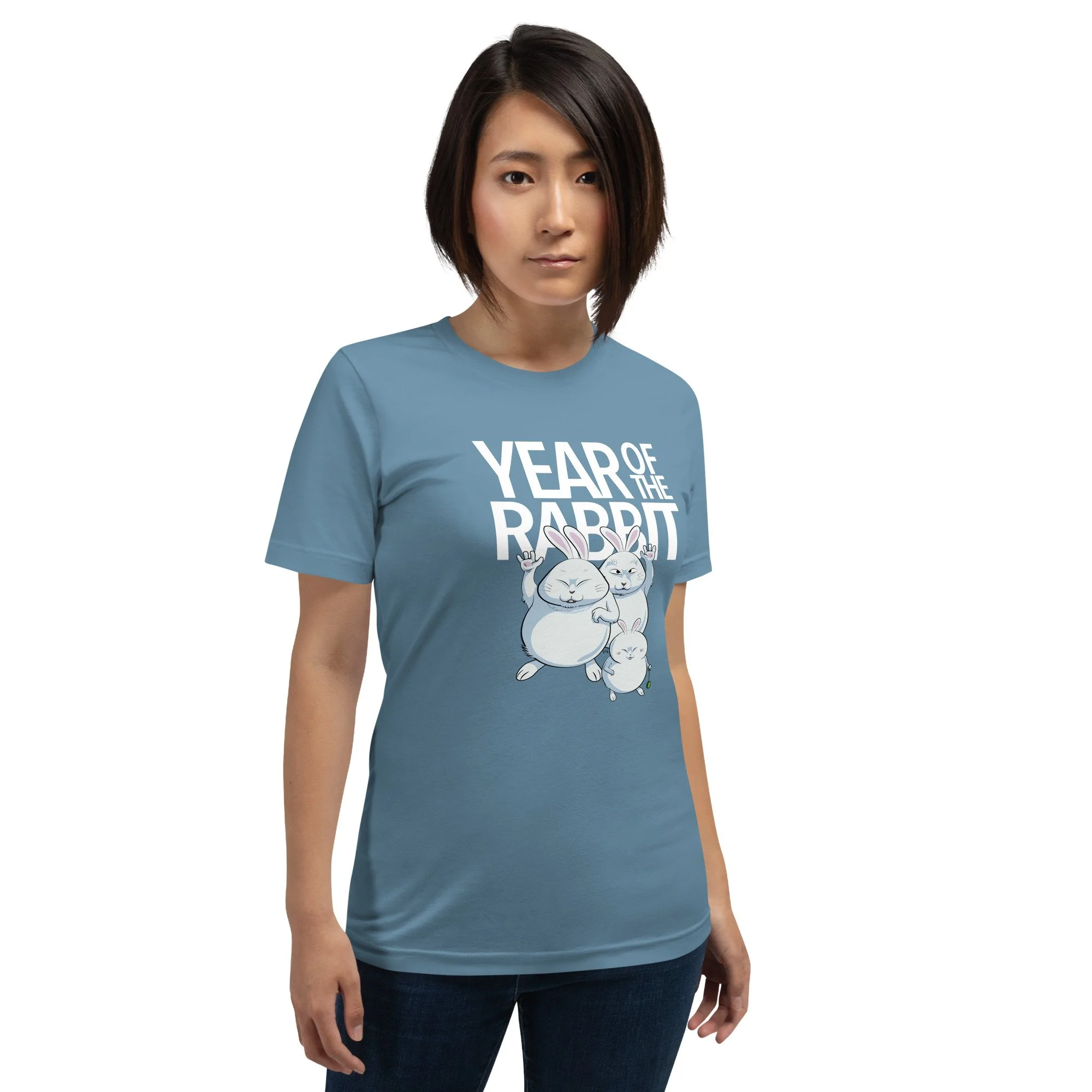unisex-staple-t-shirt-steel-blue-front-6373ea2f6c3bc.jpg