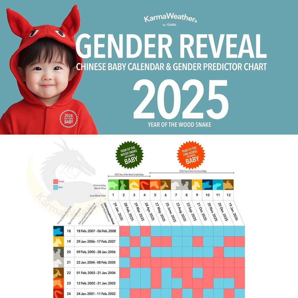 2025-chinese-baby-gender-predictor-calendar-tool-karmaweather-shop