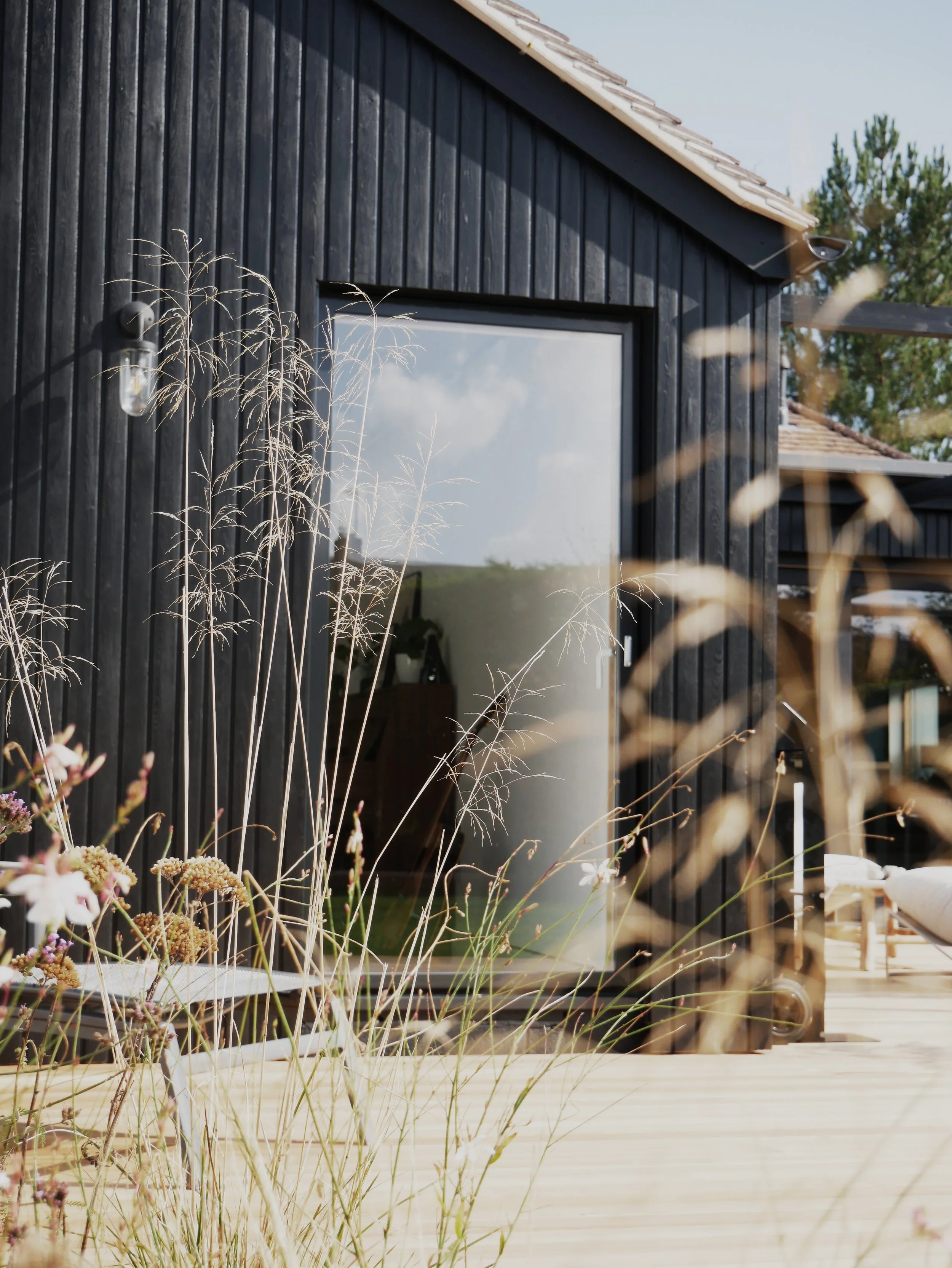 Rear Elevation 01.jpg