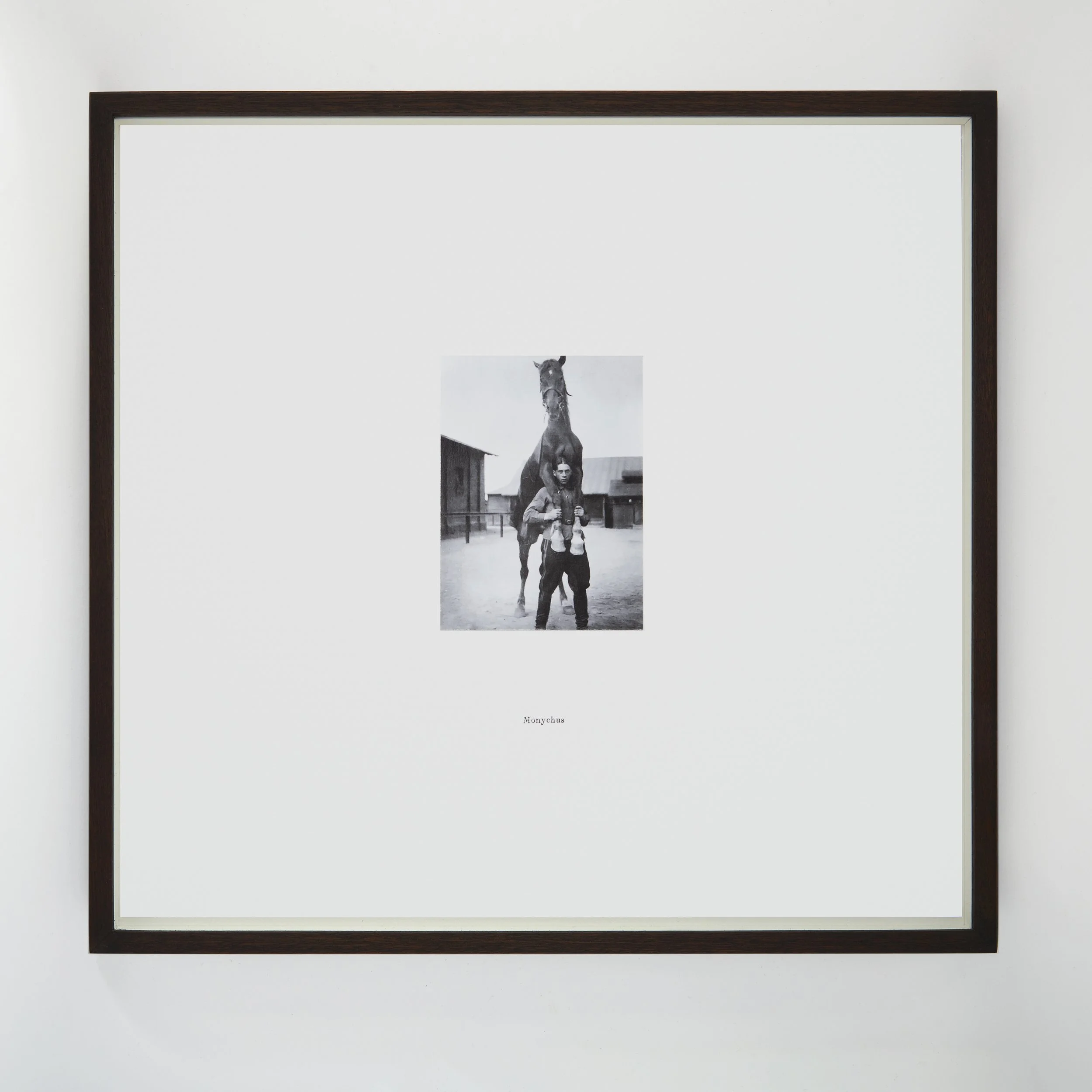  Monychus  Attended Pirithous' wedding and fought in the battle against the LAPITHS.   He was conquered by Nestor, mounted on his unwilling back.  