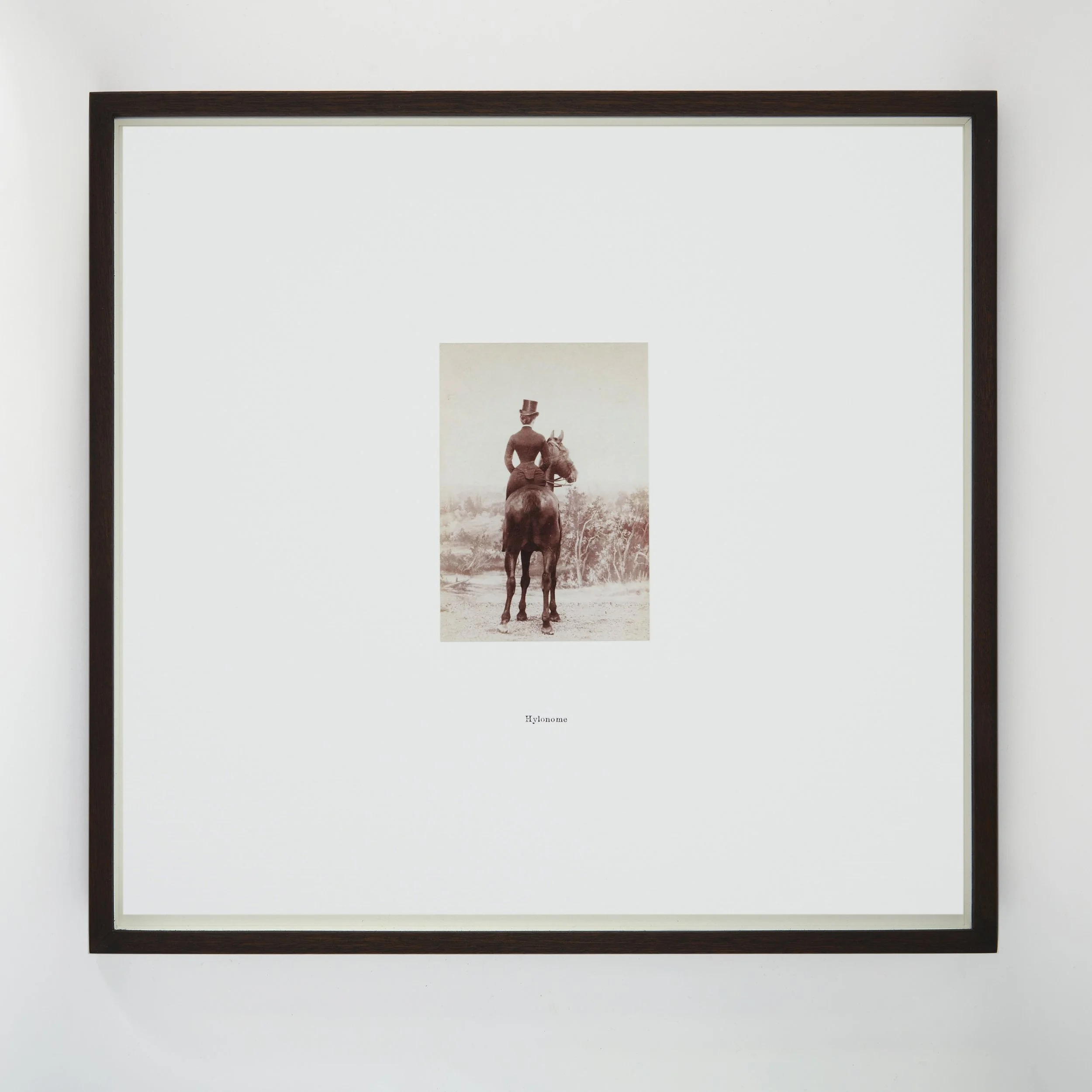  Hylonome  Meaning ‘woodland pasture’ from the Greek words hylê and nomos. A female centaur in Greek mythology.   She was present at the battle against the Lapiths, where her beloved husband Cyllarus was slain.   Heartbroken, she then took her own li