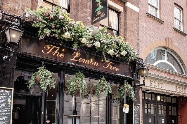 The Lemon Tree Covent Garden