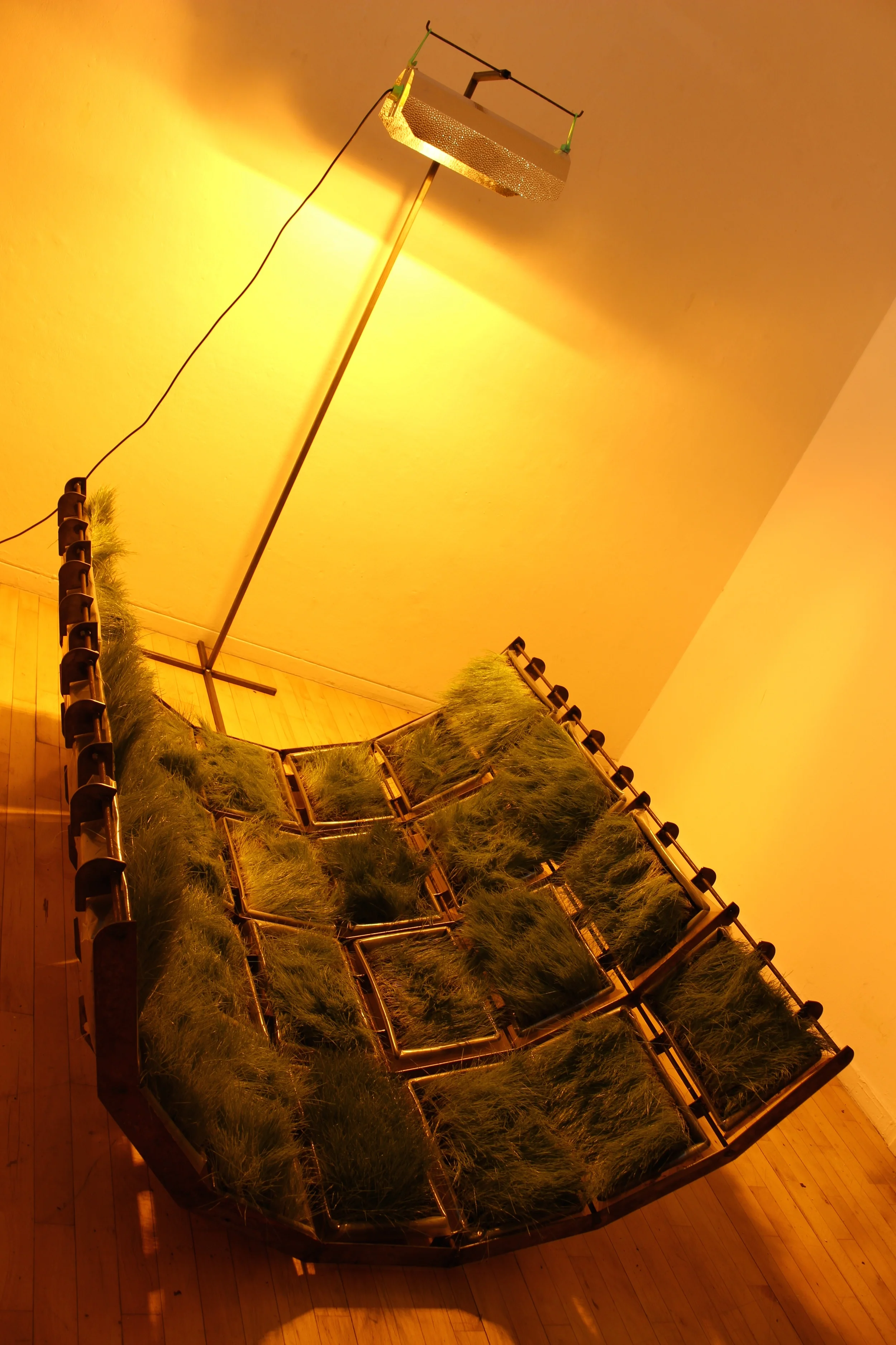 The Optimum Growth of Grass (exhibition shot)