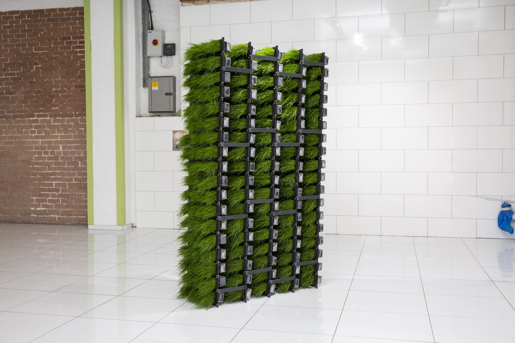 Compact Vertical Grower