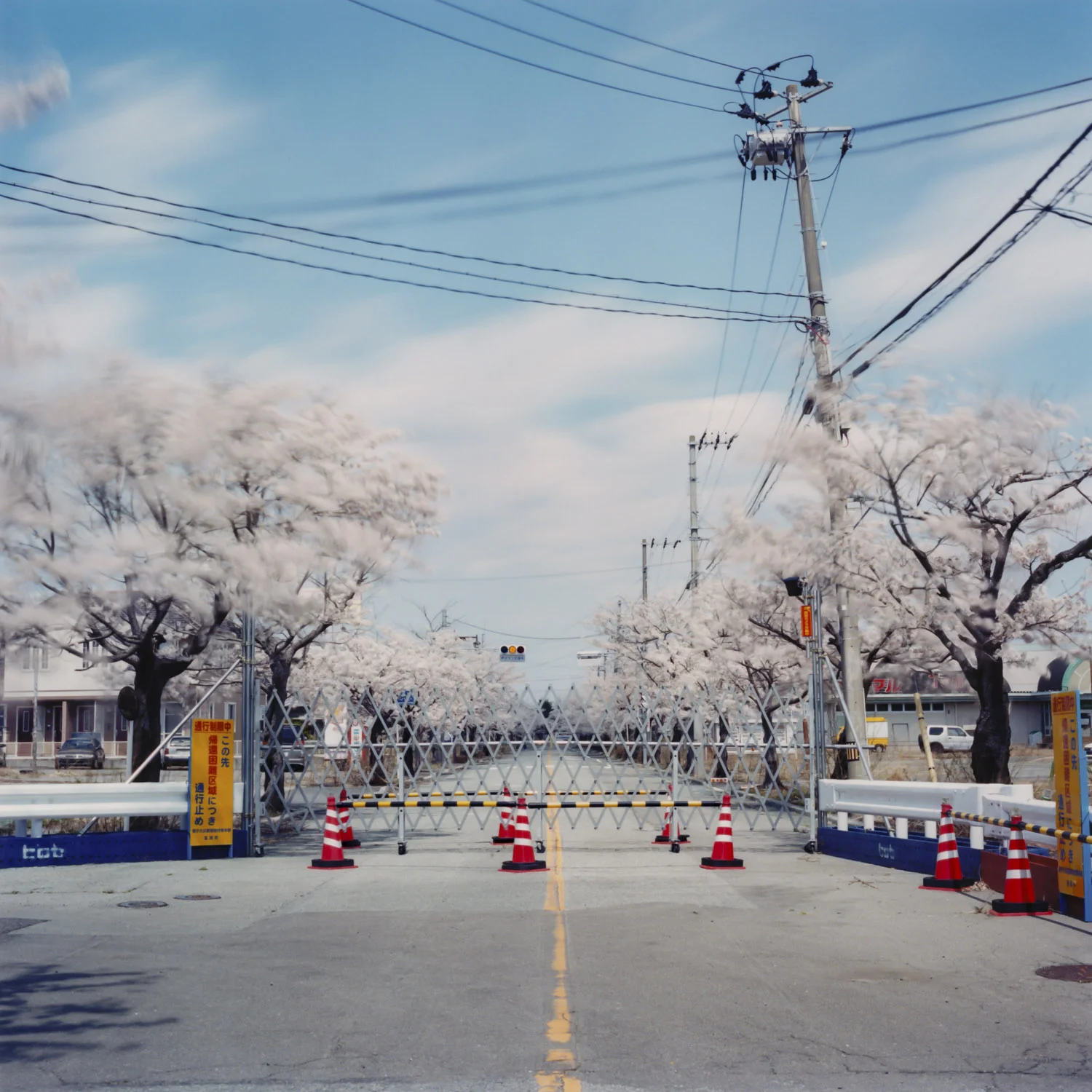 fukusima2014_201606-004.JPG