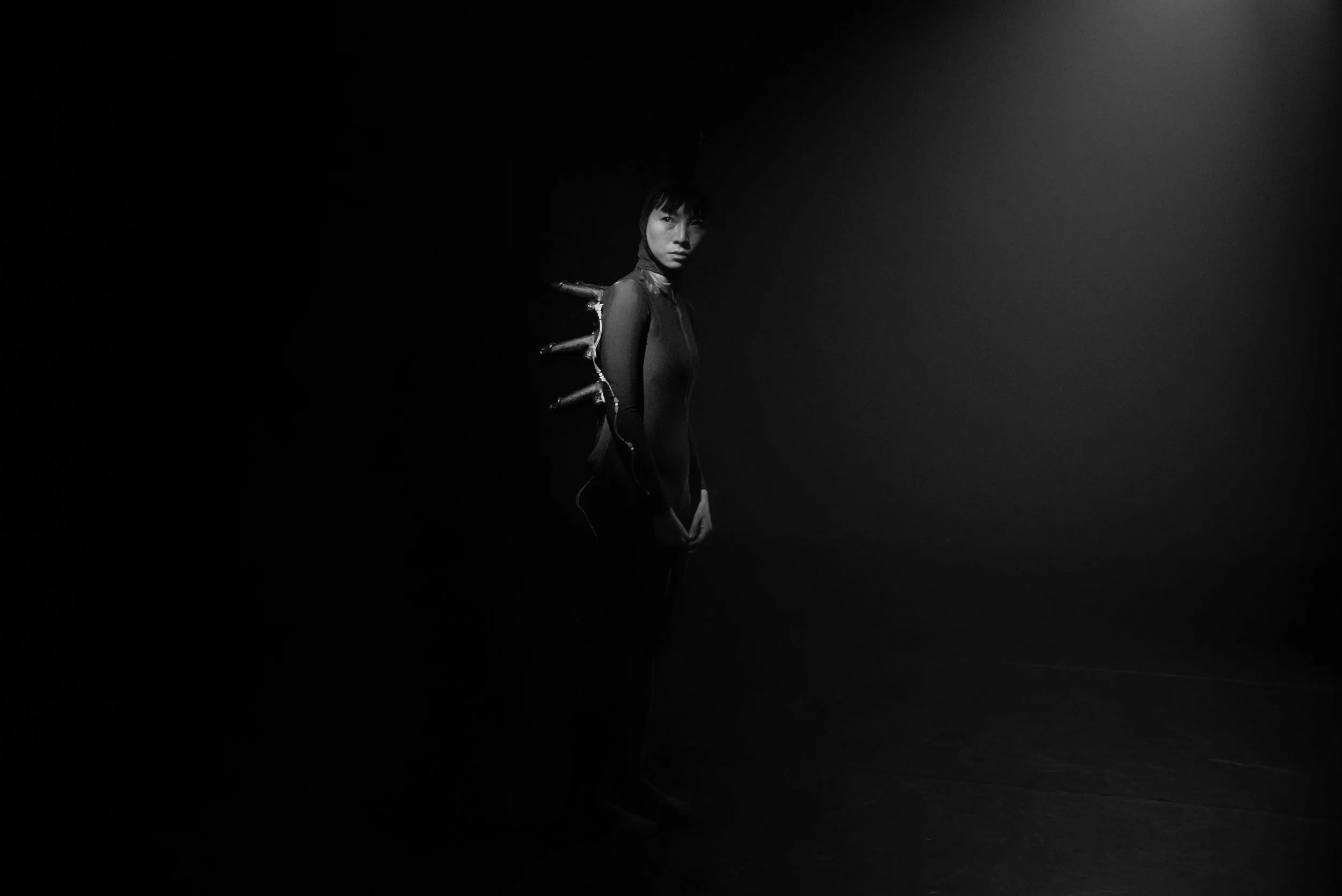 FAUN-19.jpg
