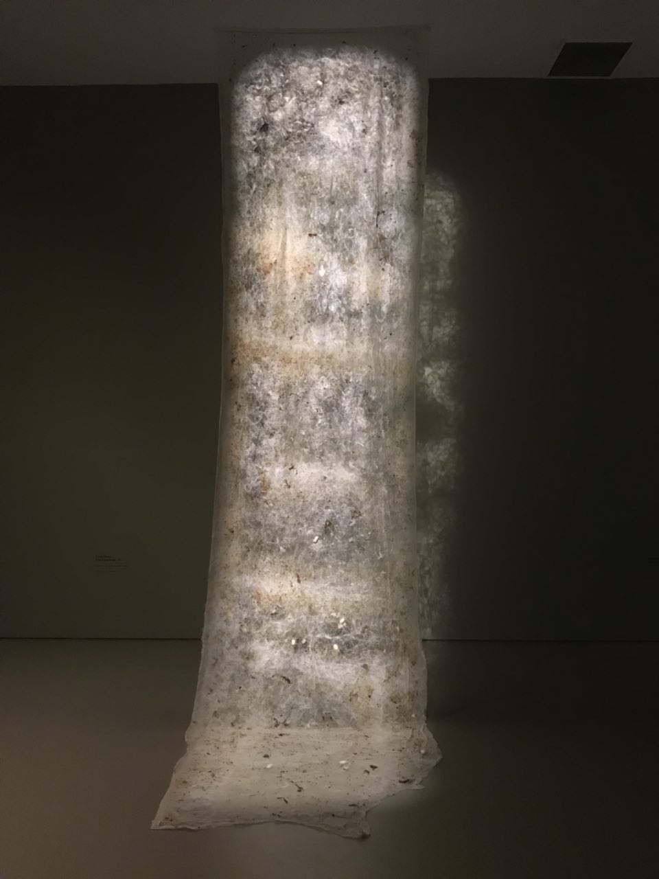 Broken Landscape, silk and cocoons, by Liang Shaoji, 2016.