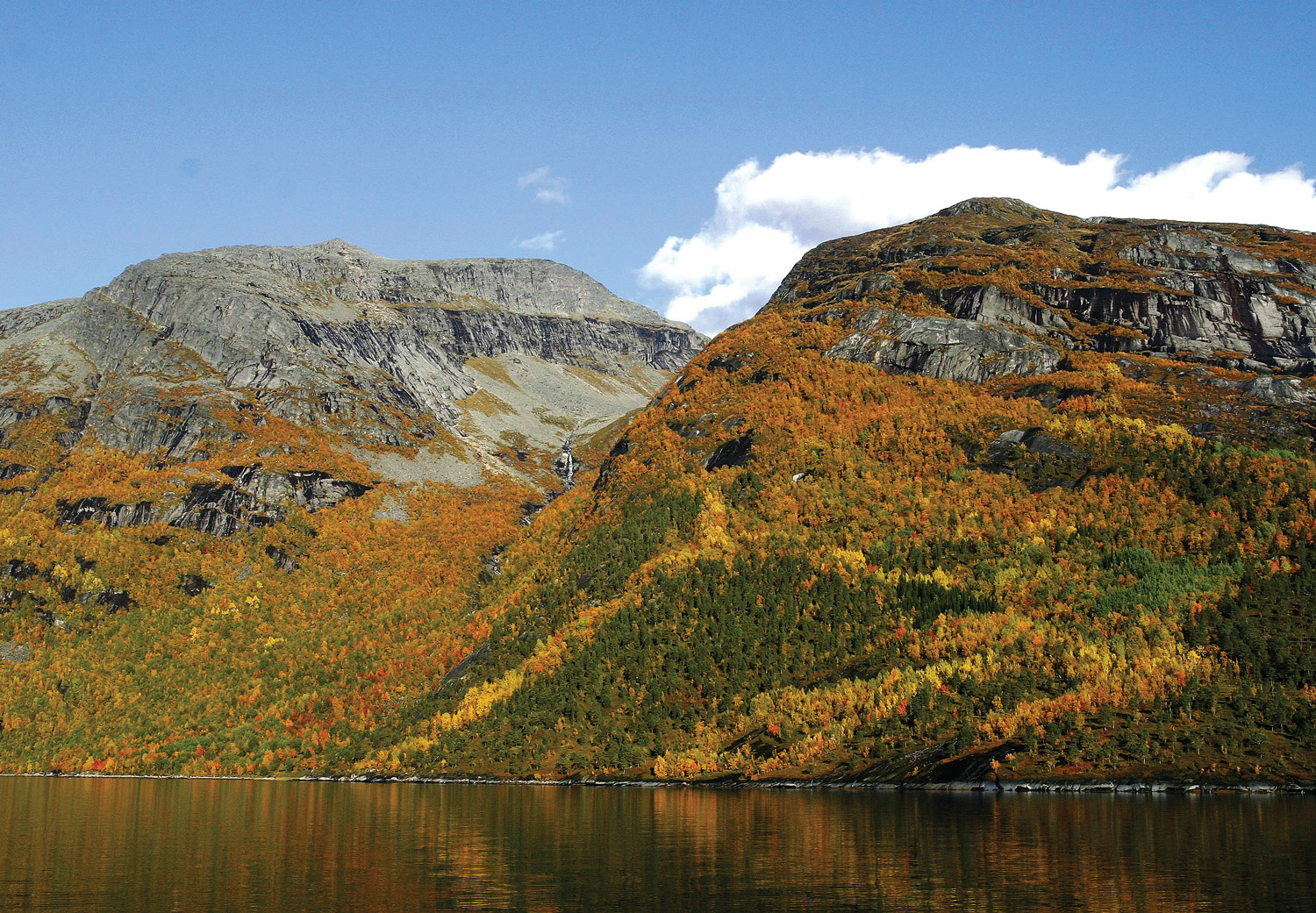 Nordland er det fylket som har størst volum av lauvtrevirke med 32 mill. m3. Mørsvikfjorden i Sørfold. Foto: Per K. Bjørklund, © Skog og landskap