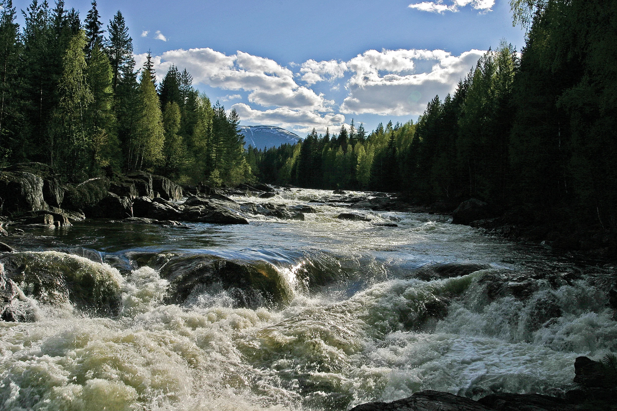 Kantsoner mot vassdrag blir i økende grad spart ved slutthogst. Urula, Hedalen, Oppland. Foto: John Yngvar Larsson, NIBIO