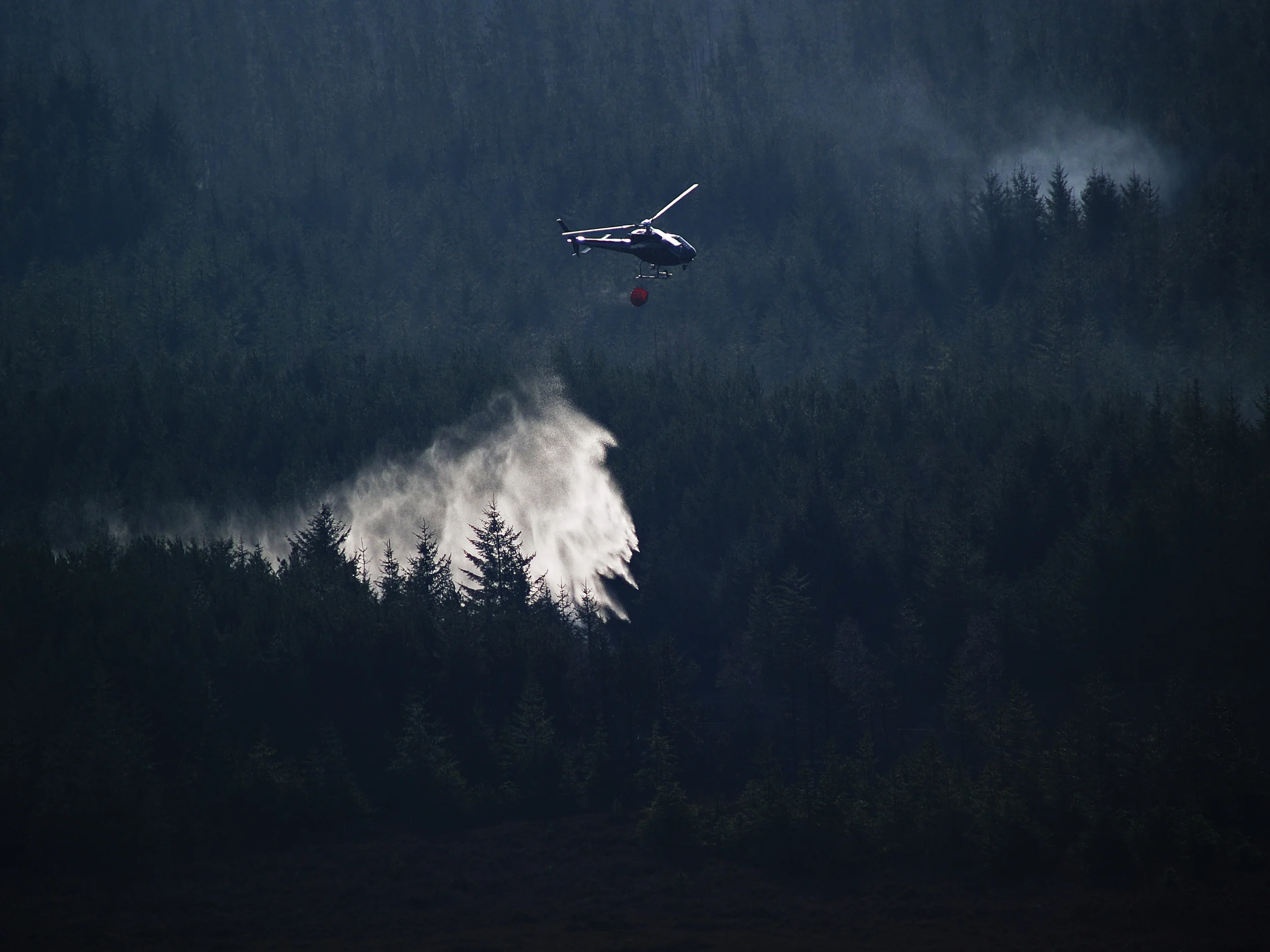 I løpet av de siste 30 årene har blant annet slokkingsutstyret og slokkingsmetodene blitt forbedret, dette har ført til en nedgang i antall skogbranner og brent areal. Foto: John Dalrymple