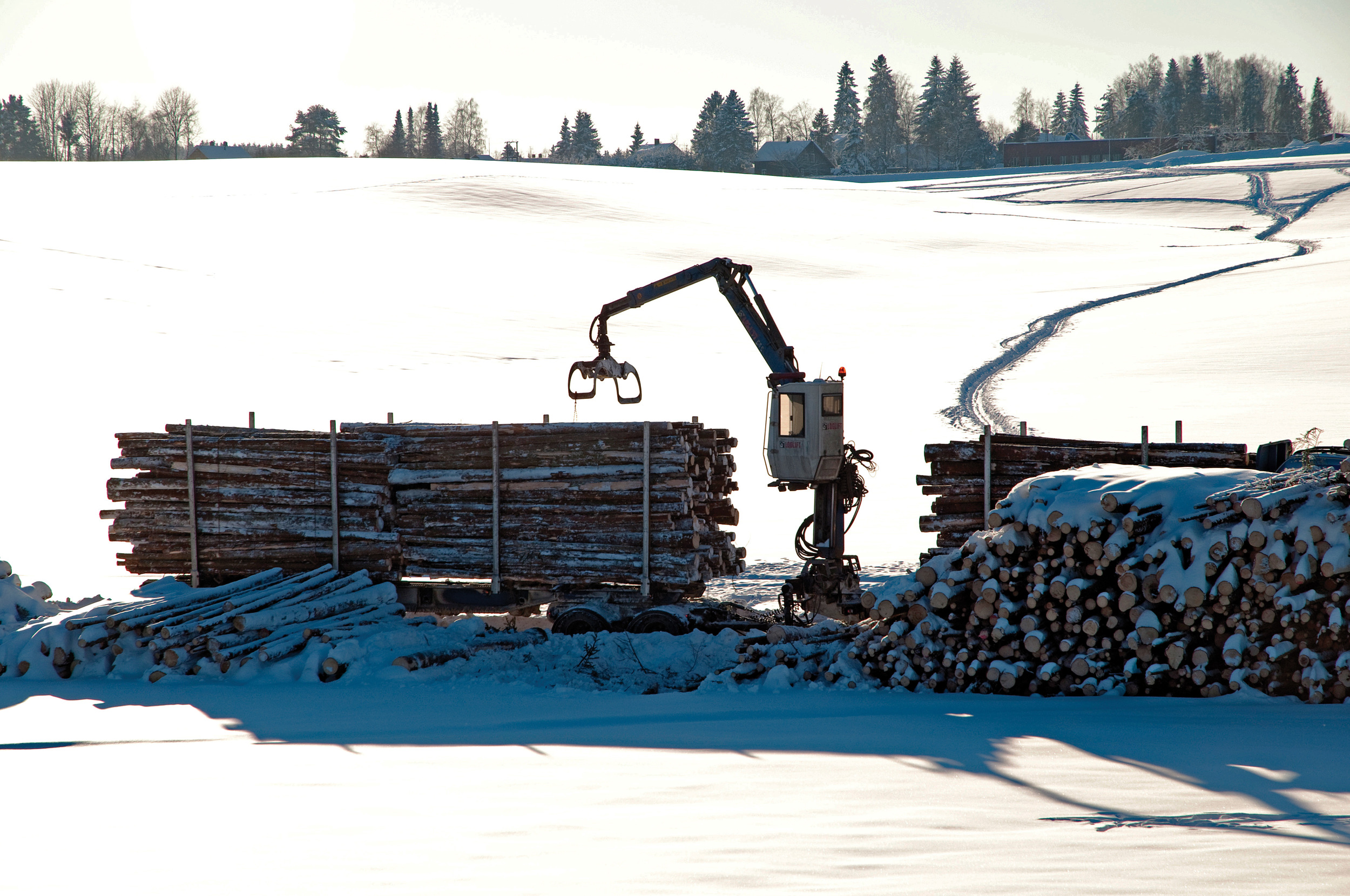 Opplasting av tømmer på tømmerbil. Ås, Akershus. Foto: Lars Sandved Dalen, NIBIO