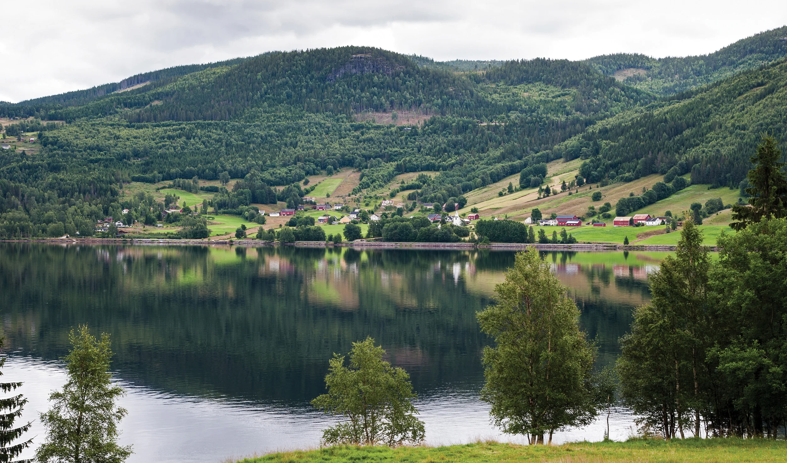 Tidligere kom informasjon om antall skogeiendommer fra Landbruksregisteret. Fra og med 2011 er antall skogeiendommer og produktivt skogareal basert på digitale eiendomskart, grunneiendommer og eieropplysninger fra Matrikkelen. Åraksbø, Aust-Agder. Foto: Dan Aamlid, NIBIO
