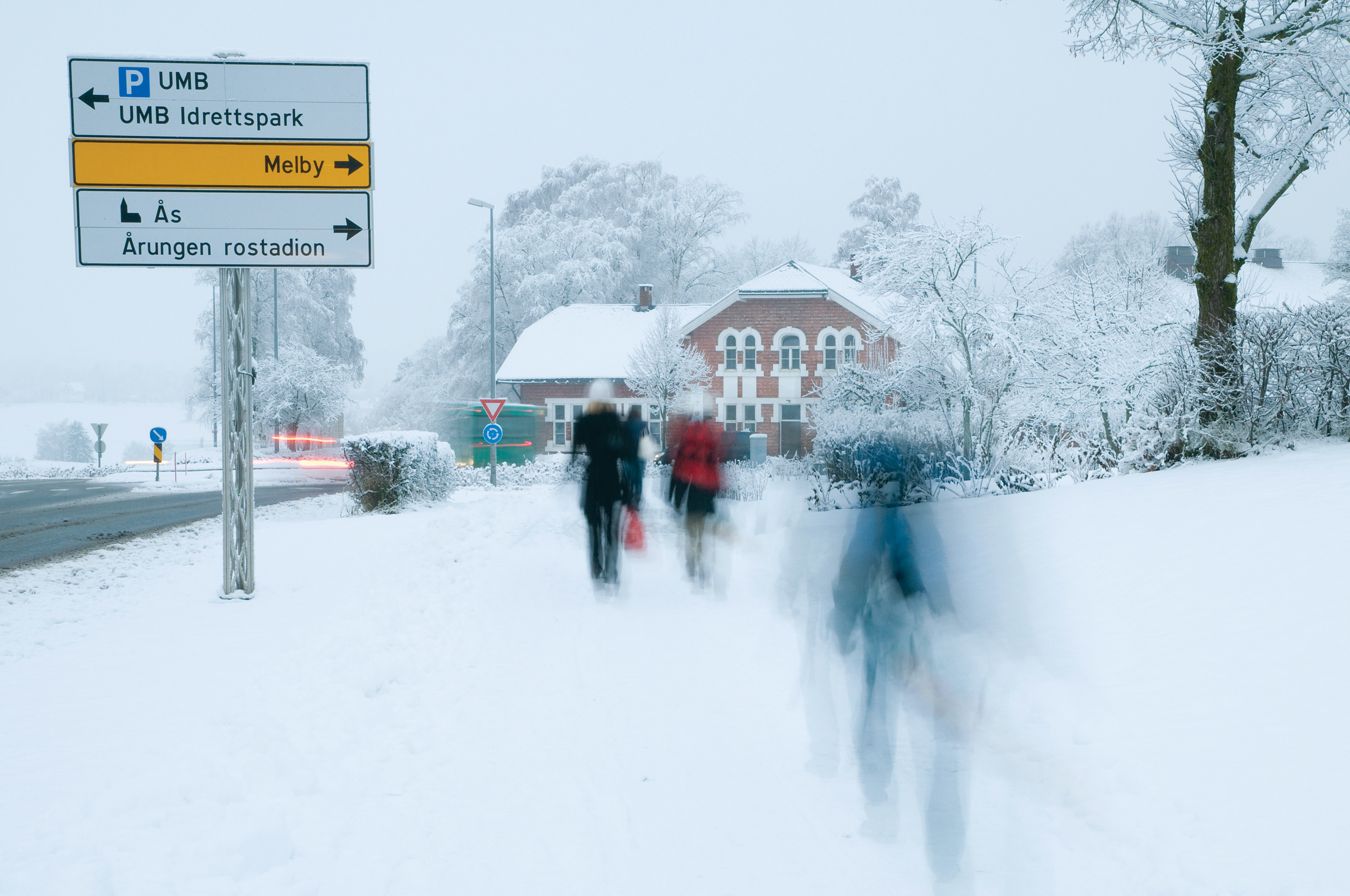 NMBU er Norges sentrale og ledende forsknings-og lærested for bioproduksjon, miljø og landskap. Foto: Lars Sandved Dalen, NIBIO