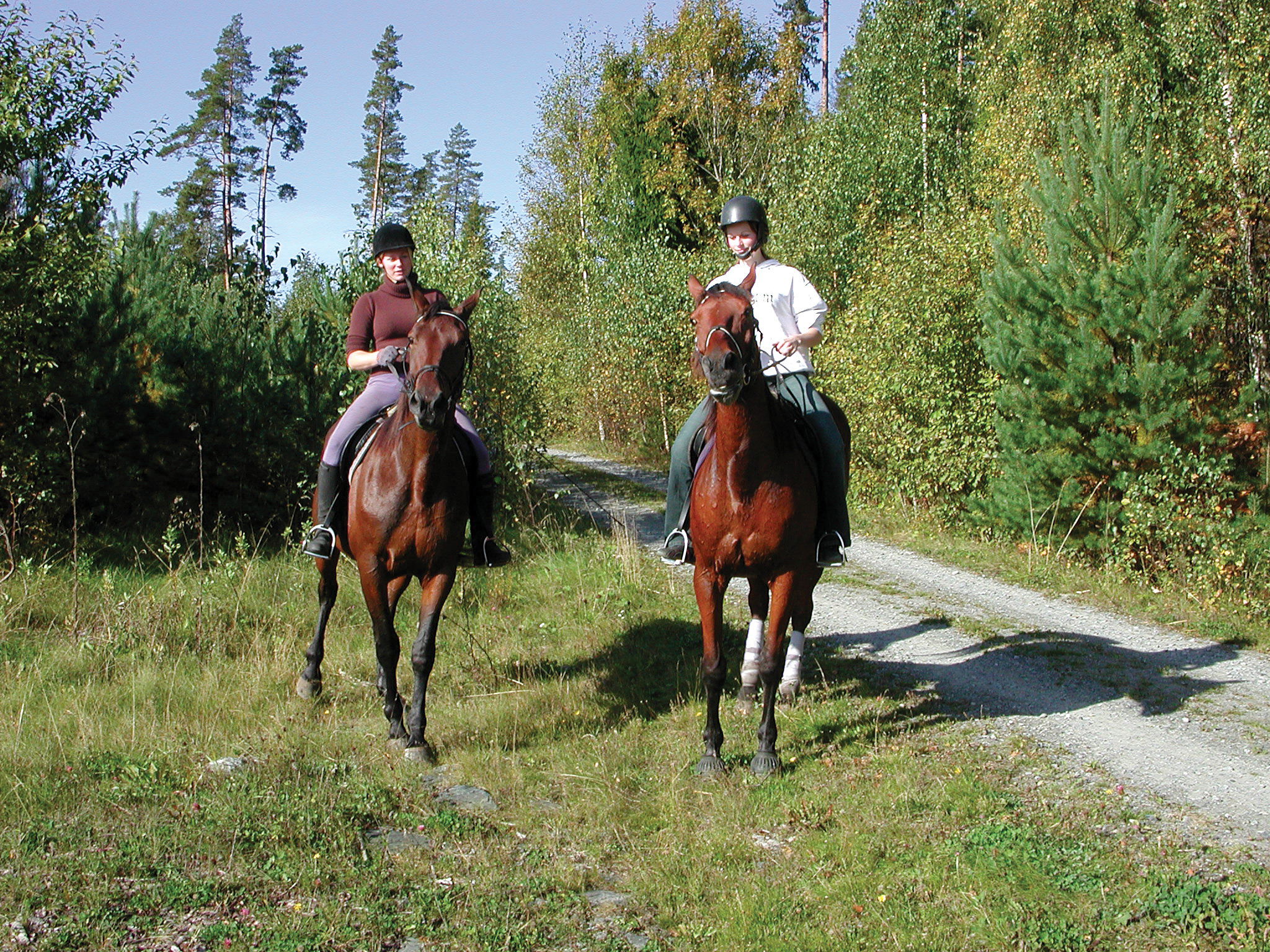 Aktiviteter som riding, terrengsykling, skøyteturer, hundekjøring og bading foregår tildels i skog, men det er ikke mulig å spesifisere hvor mye av denne aktiviteten som faktisk foregår i skog. Foto: Svein Skøien, NIBIO