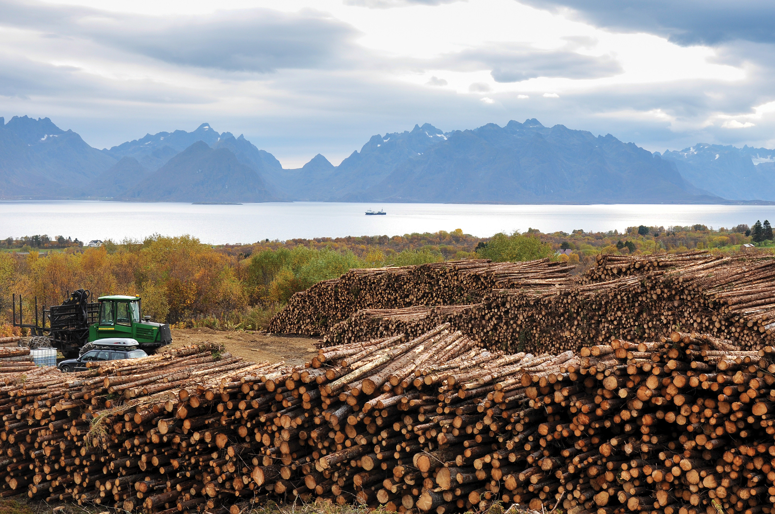 I perioden 2013–2017 var årlig avvirkning på cirka 12,5 millioner kubikkmeter, 54 prosent av nettotilveksten Foto: Leif Kjøstelsen, NIBIO