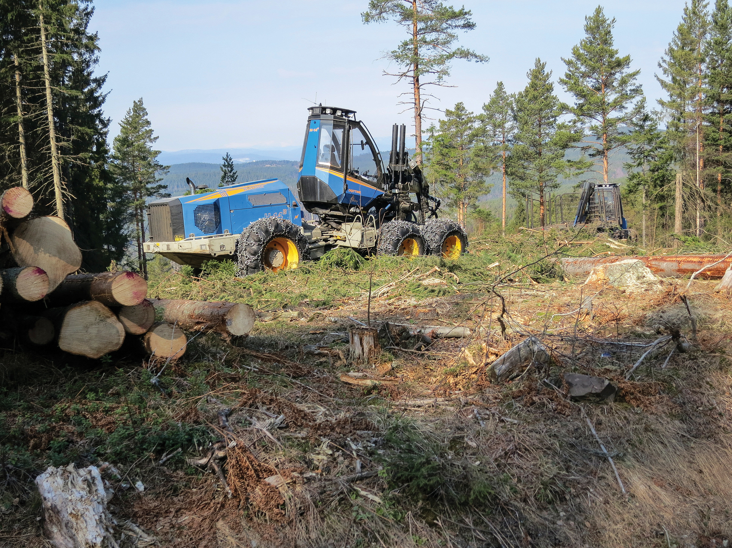 I 2016 ble det avvirket 10,35 millioner kubikkmeter industrivirke, det største volumet siden toppåret 1989-1990. Ringerike, Buskerud. Foto: John Yngvar Larsson, NIBIO