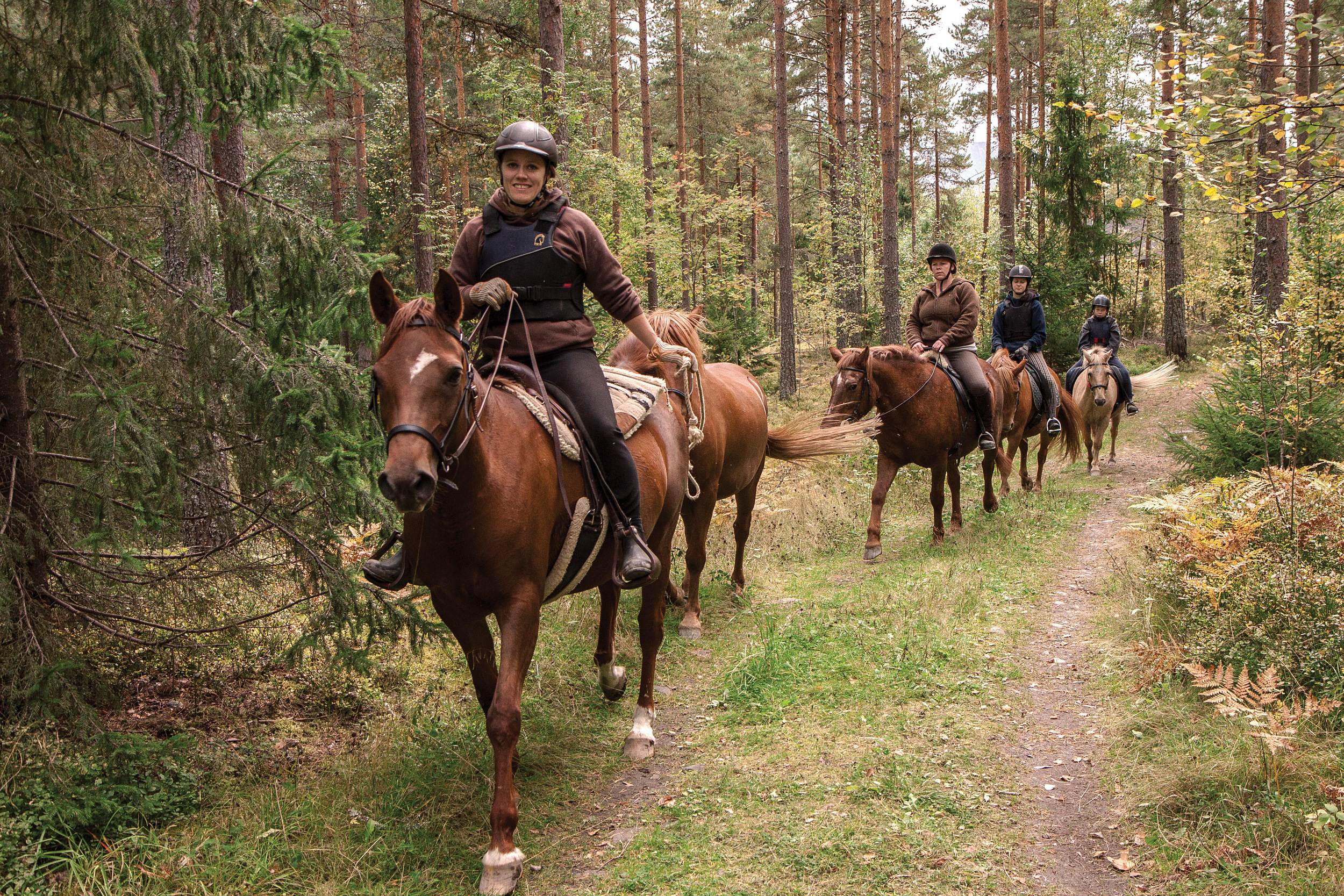 Den frie ferdselsretten i utmark gjelder også for ride-eller kløvhester såframt ikke kommunen med samtykke av eieren har forbudt slik ferdsel. Ringerike, Buskerud. Foto: John Yngvar Larsson, NIBIO