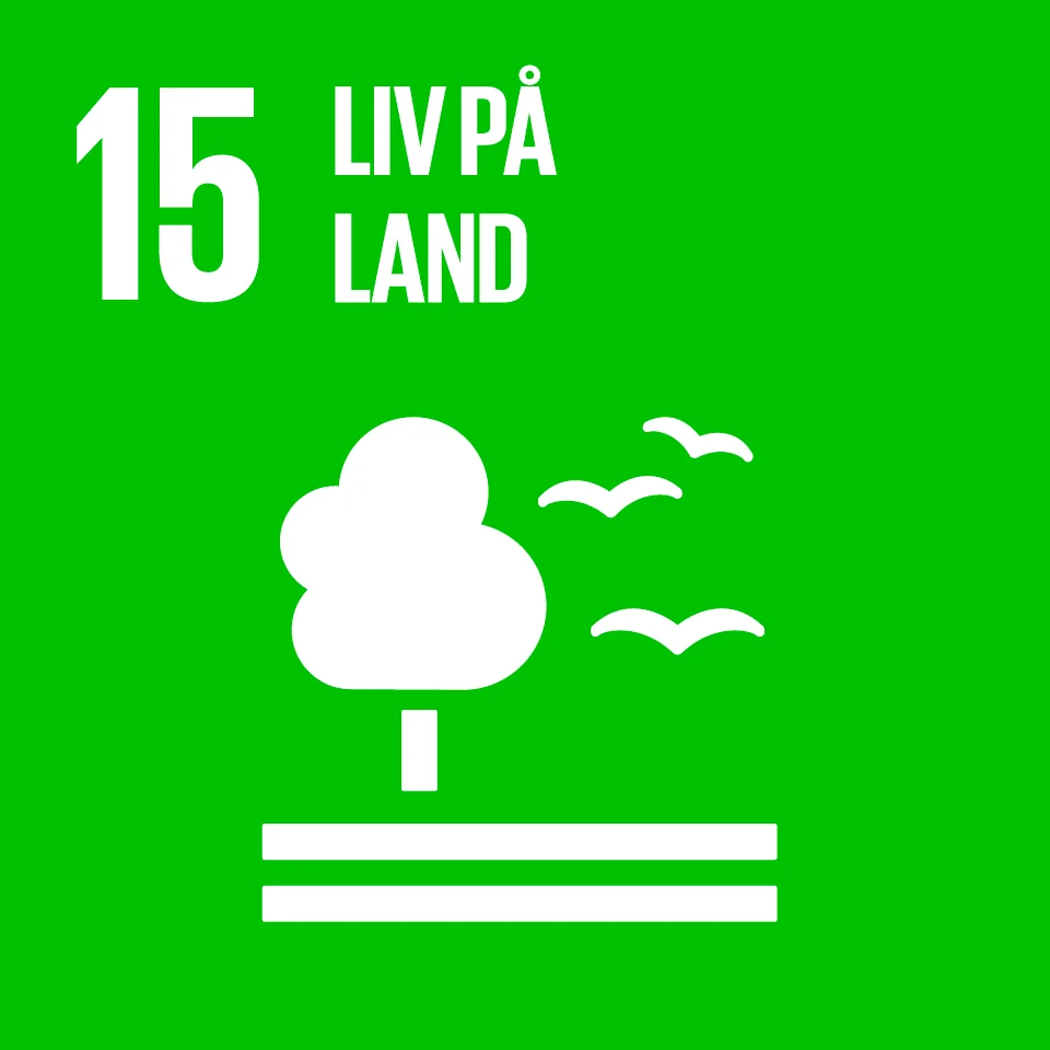 FNs bærekraftsmål er verdens felles arbeidsplan for å utrydde fattigdom, bekjempe ulikhet og stoppe klimaendringene innen 2030. I 2015 ble FNs 193 medlemsland enige om 17 mål og 169 delmål for bærekraftig utvikling. Utviklingen skal så langt det er mulig måles ved hjelp av nasjonale datakilder og statistikk. Et av FNs bærekraftmål omfatter liv på land, der et av delmålene er innen 2020 å fremme gjennomføring av en bærekraftig forvaltning av all slags skog, stanse avskoging, gjenopprette forringede skoger og i betydelig grad øke skoggjenreising og nyplanting på globalt nivå. 