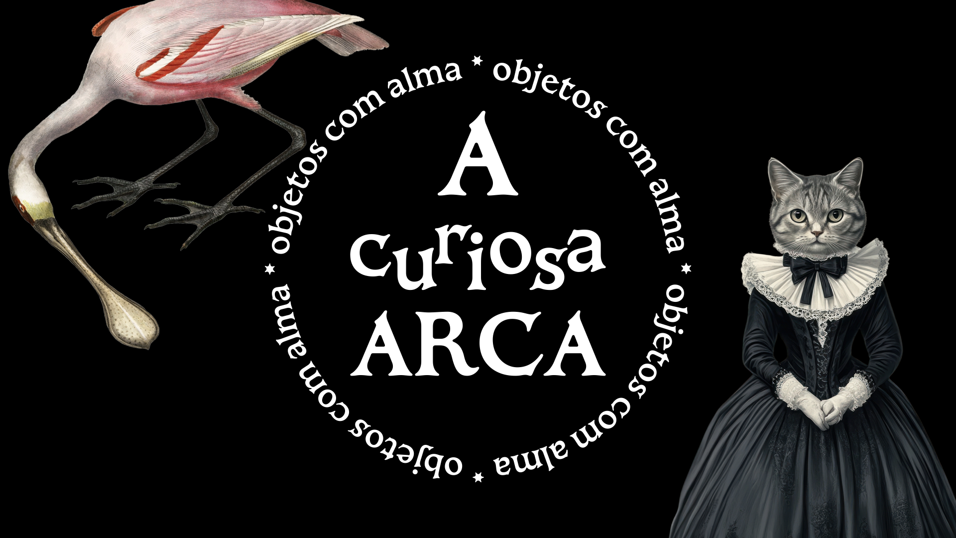241001_ACURIOSAARCA_ID.008.png