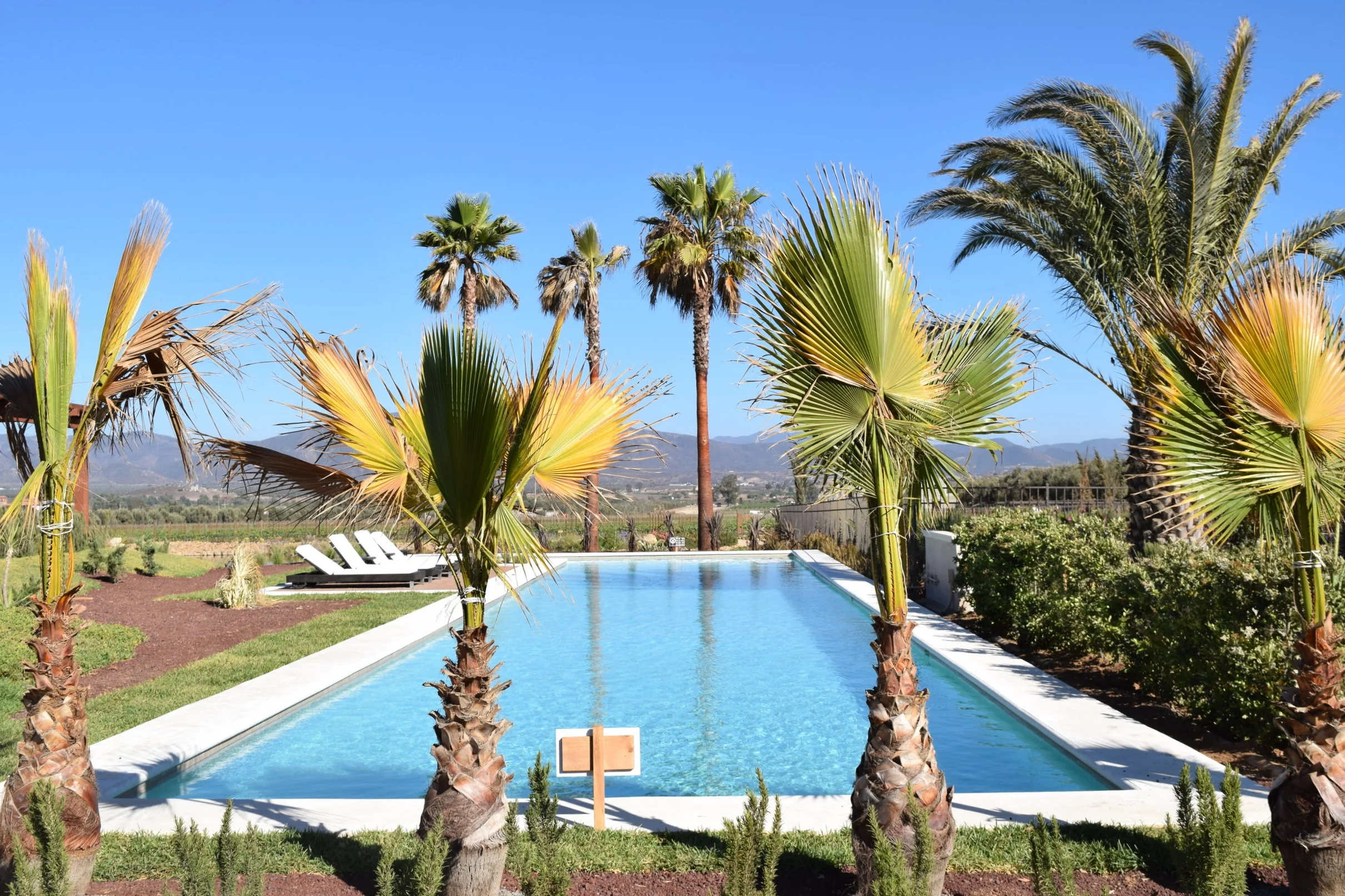 31 Places You Must Stay In Valle De Guadalupe And Ensenada