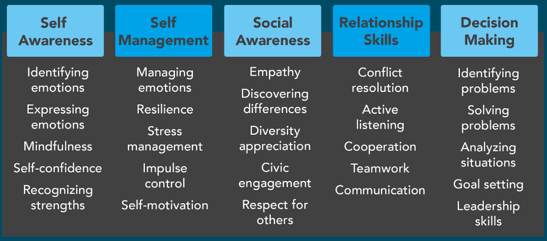 Self awareness, identifying emotions, expressing emotions, mindfulness, self-confidence, recognizing strengths, self management, managing emotions, resilience, stress management, impulse control, self-motivation, social awareness, empathy, discovering differences, diversity appreciation, civic engagement, respect for others, relationship skills, conflict resolution, active listening, cooperation, teamwork, communication, responsible decision making, identifying problems, solving problems, analyzing situations, goal setting, leadership skills
