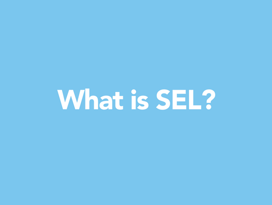 What is SEL_ (6).png