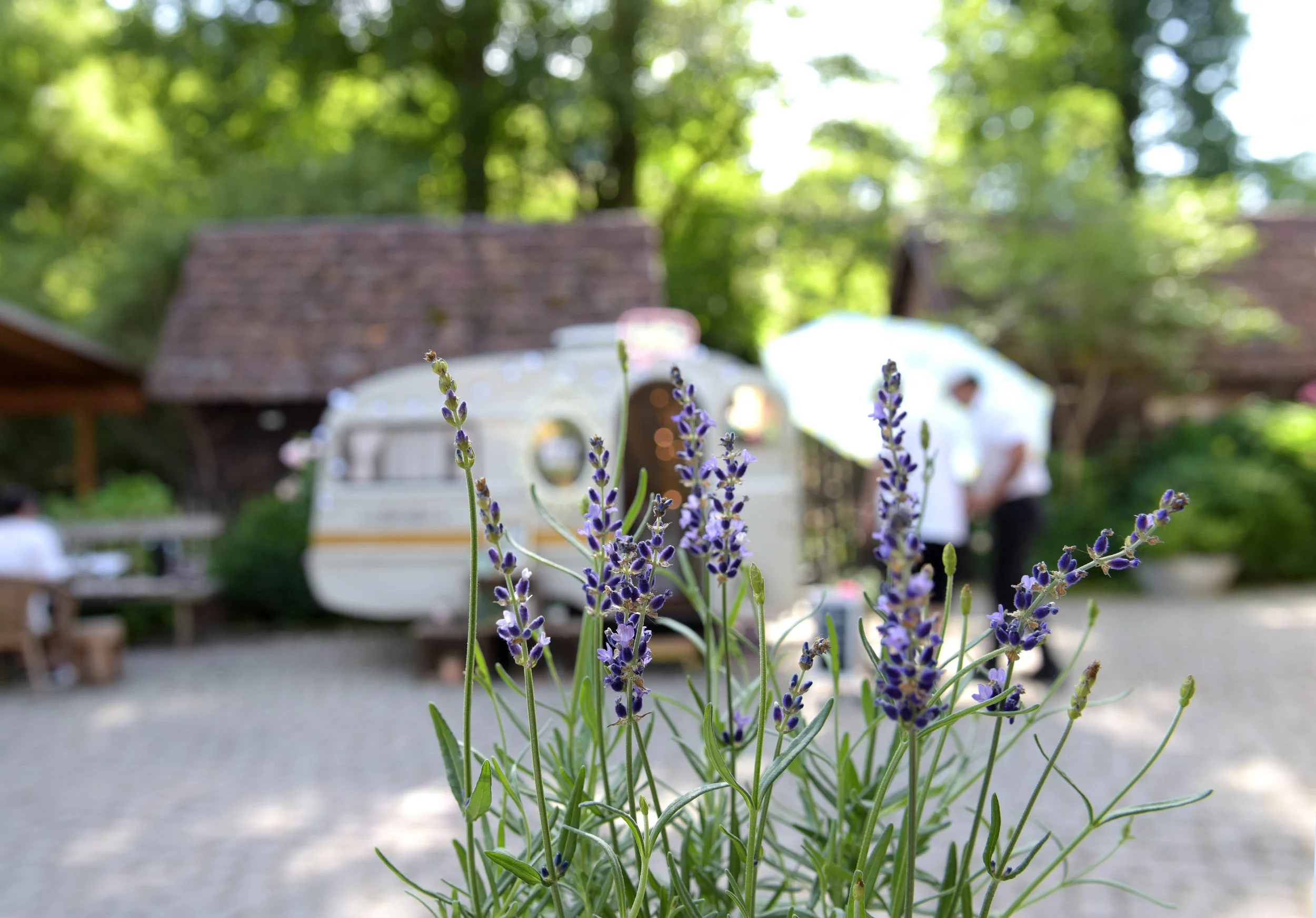 Caravan-Eselsmühle-Bäämely03.jpg