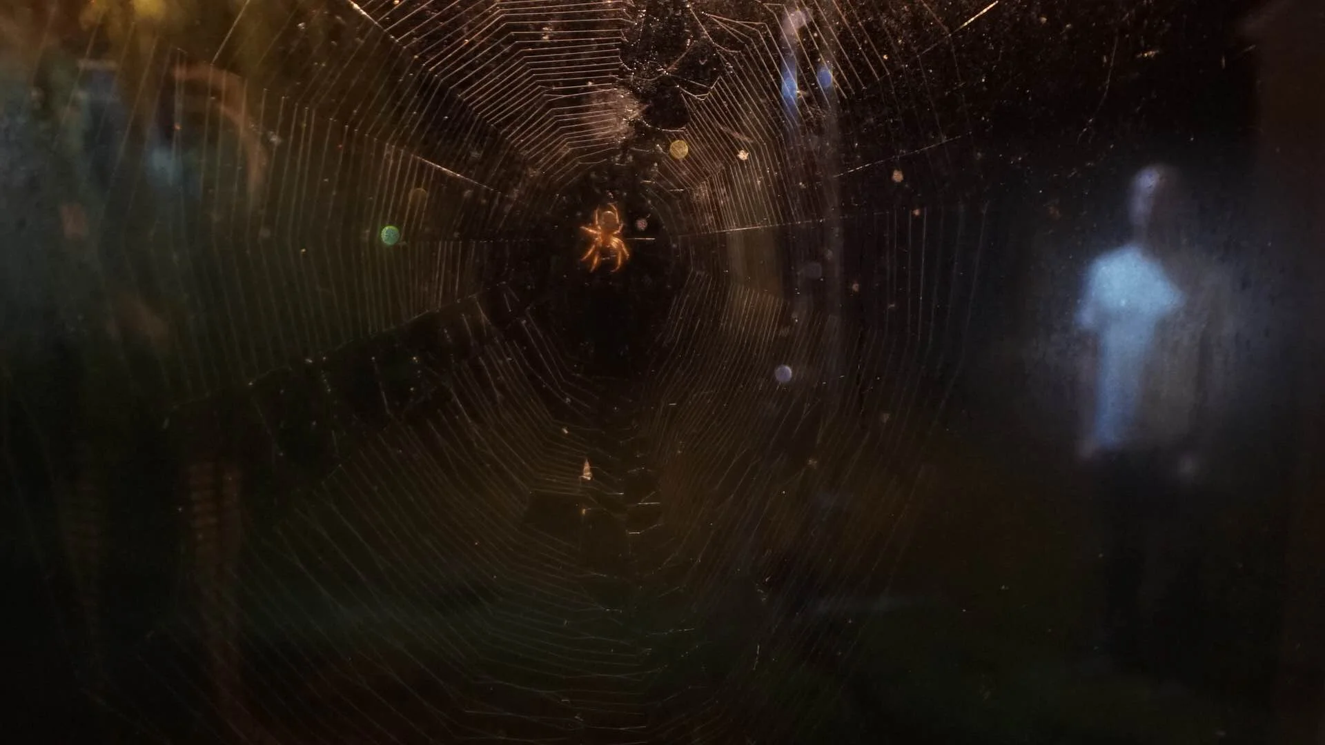 Days & Days Short- Grip