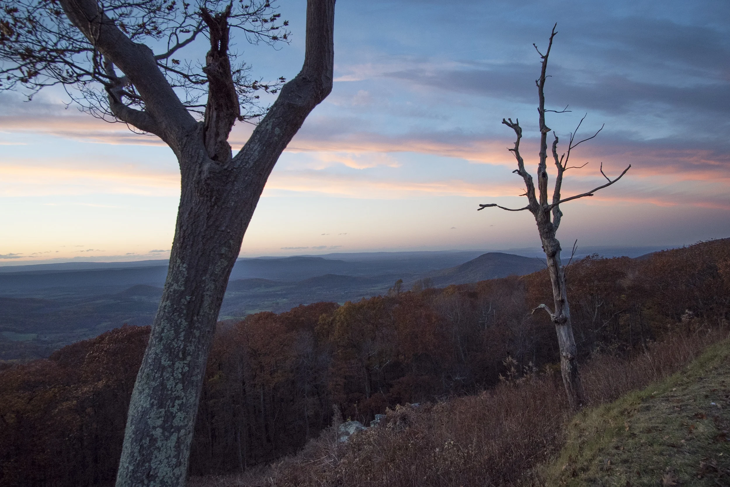Skyline Drive