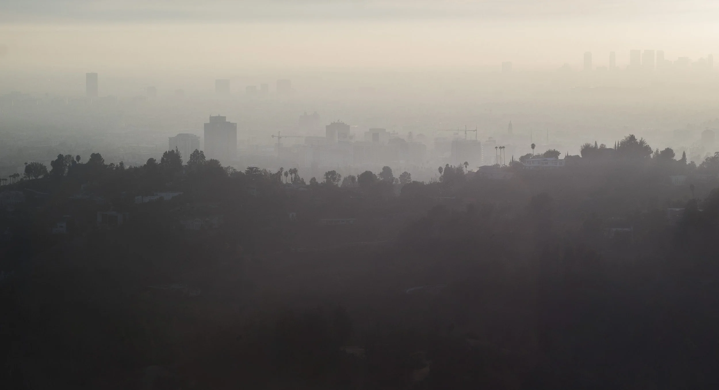 LA