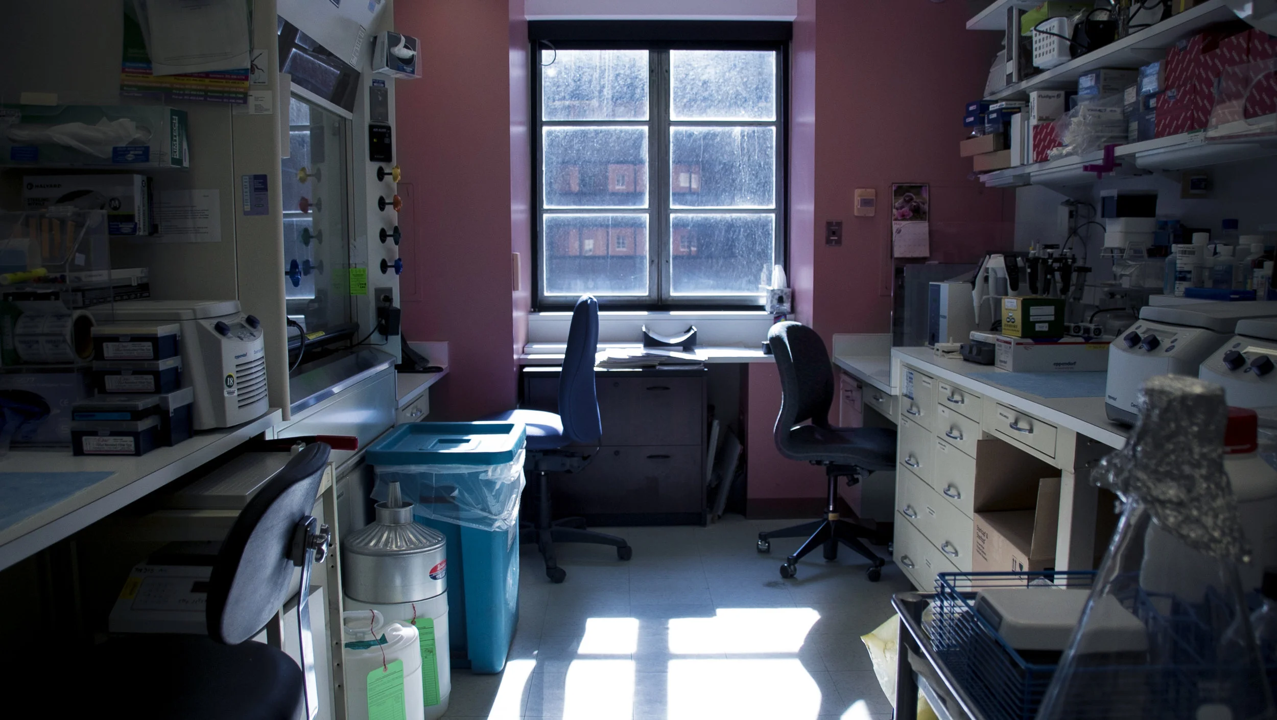 lab.jpg