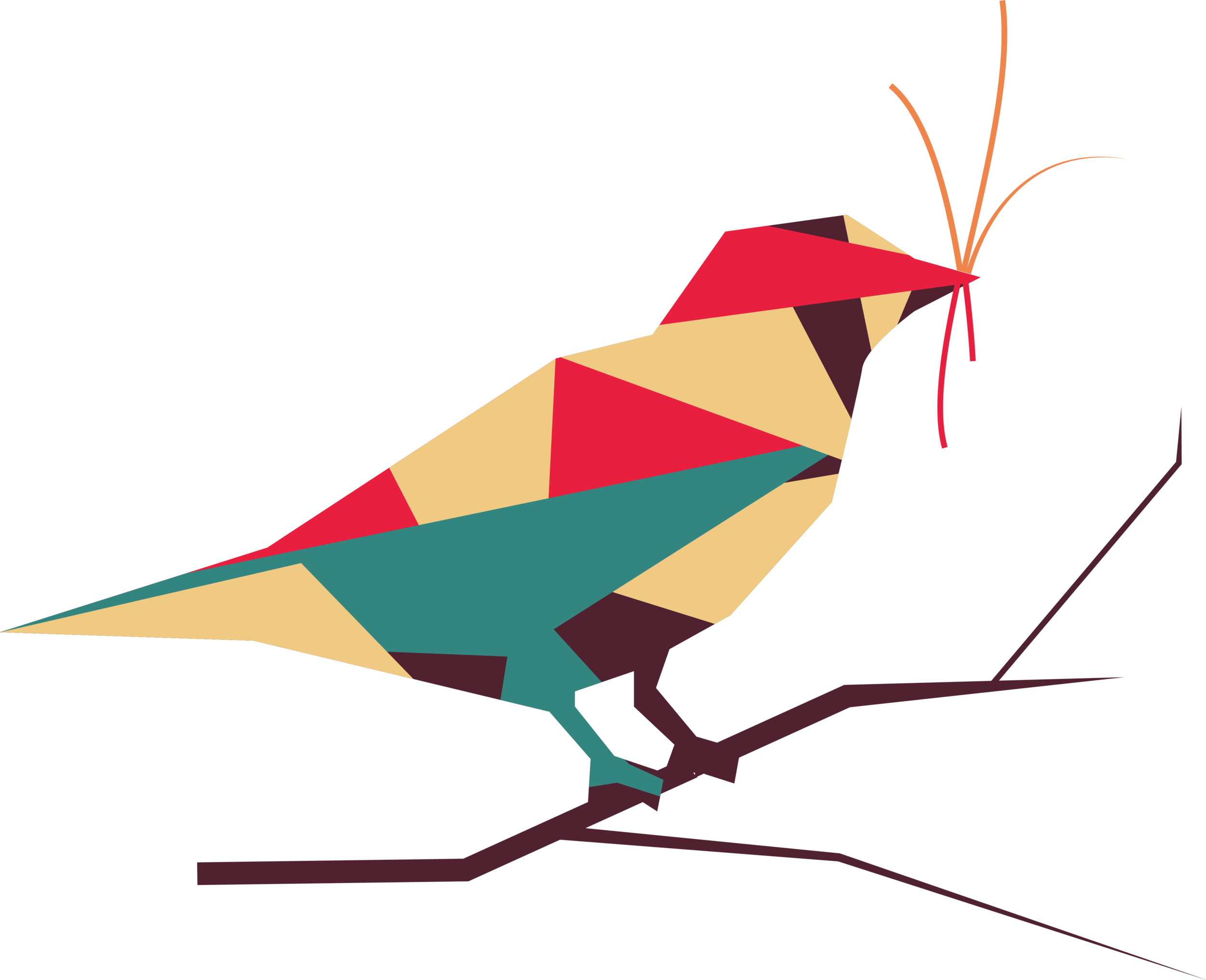sst-bird-lrg-007.png