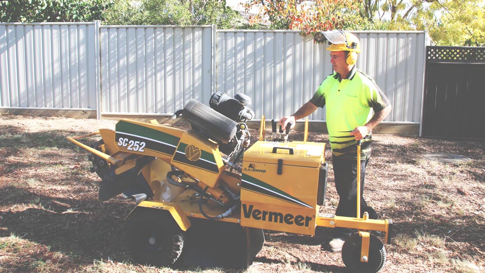 Wood Chips 