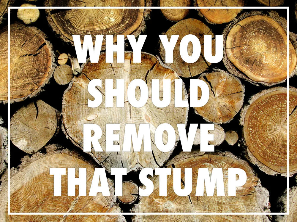 Why you should remove that stump! 