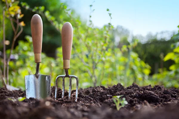 JUST IN: Gardening is good for your health 