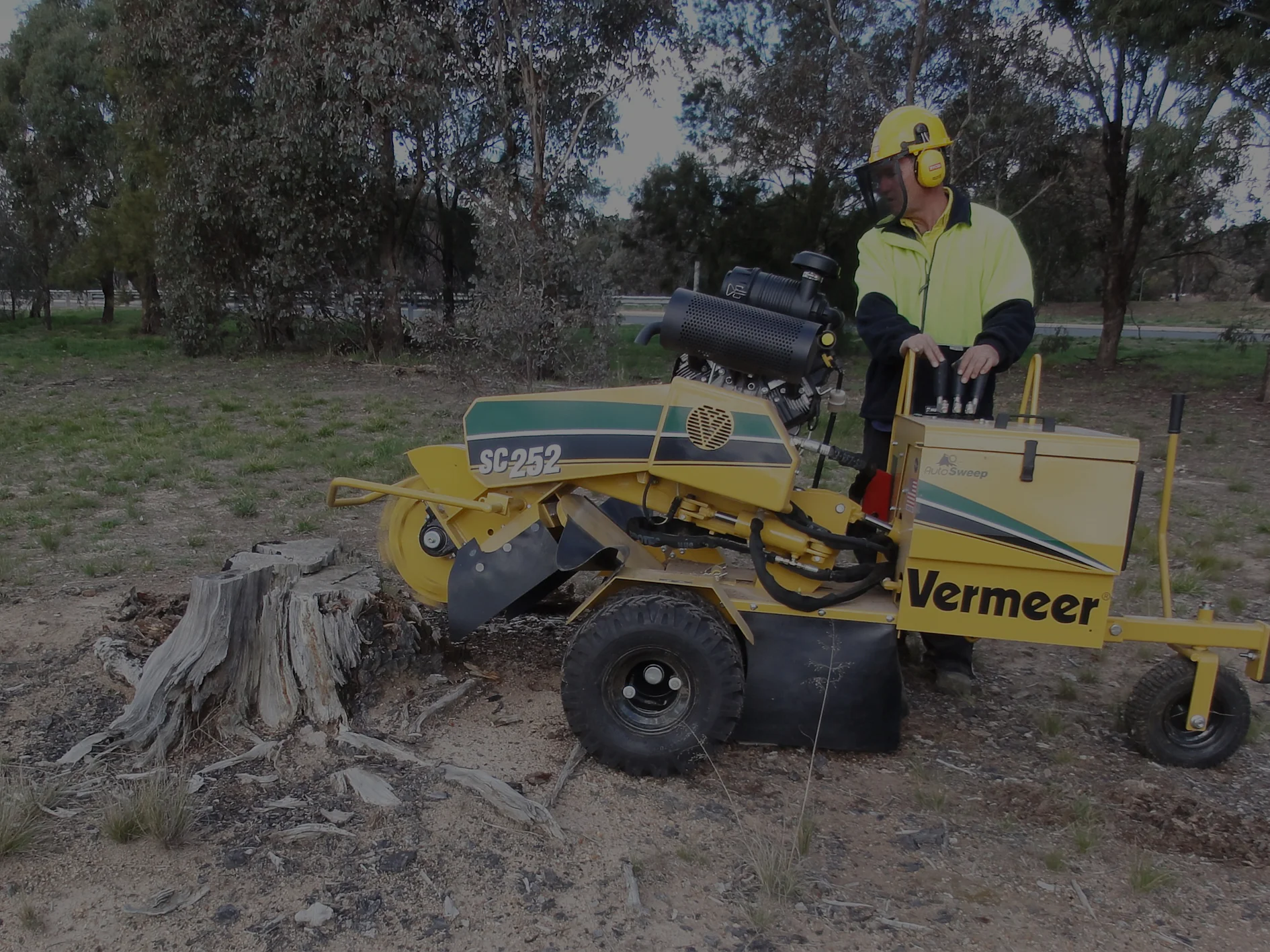 tree stump removal quote