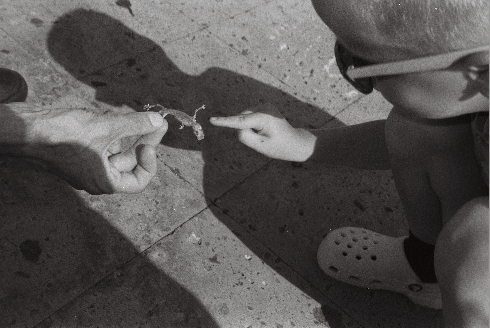 Screen Shot 2025-07-22 at 3.53.02 PM.png