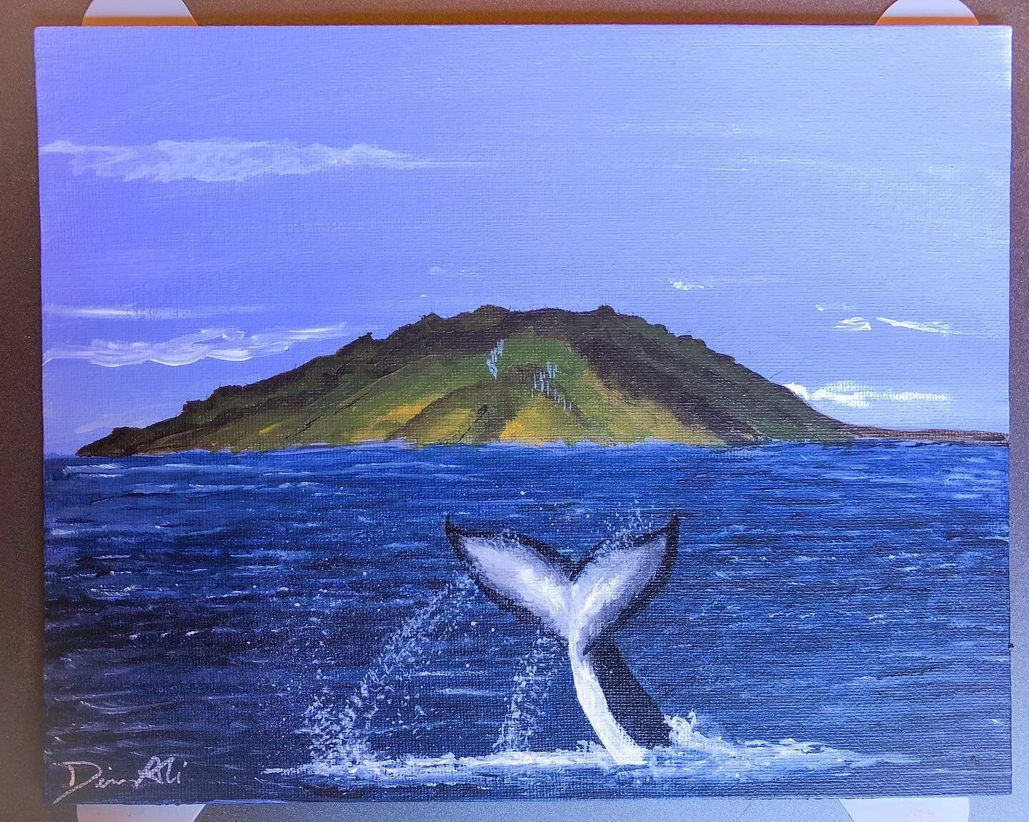 Maui whale watching